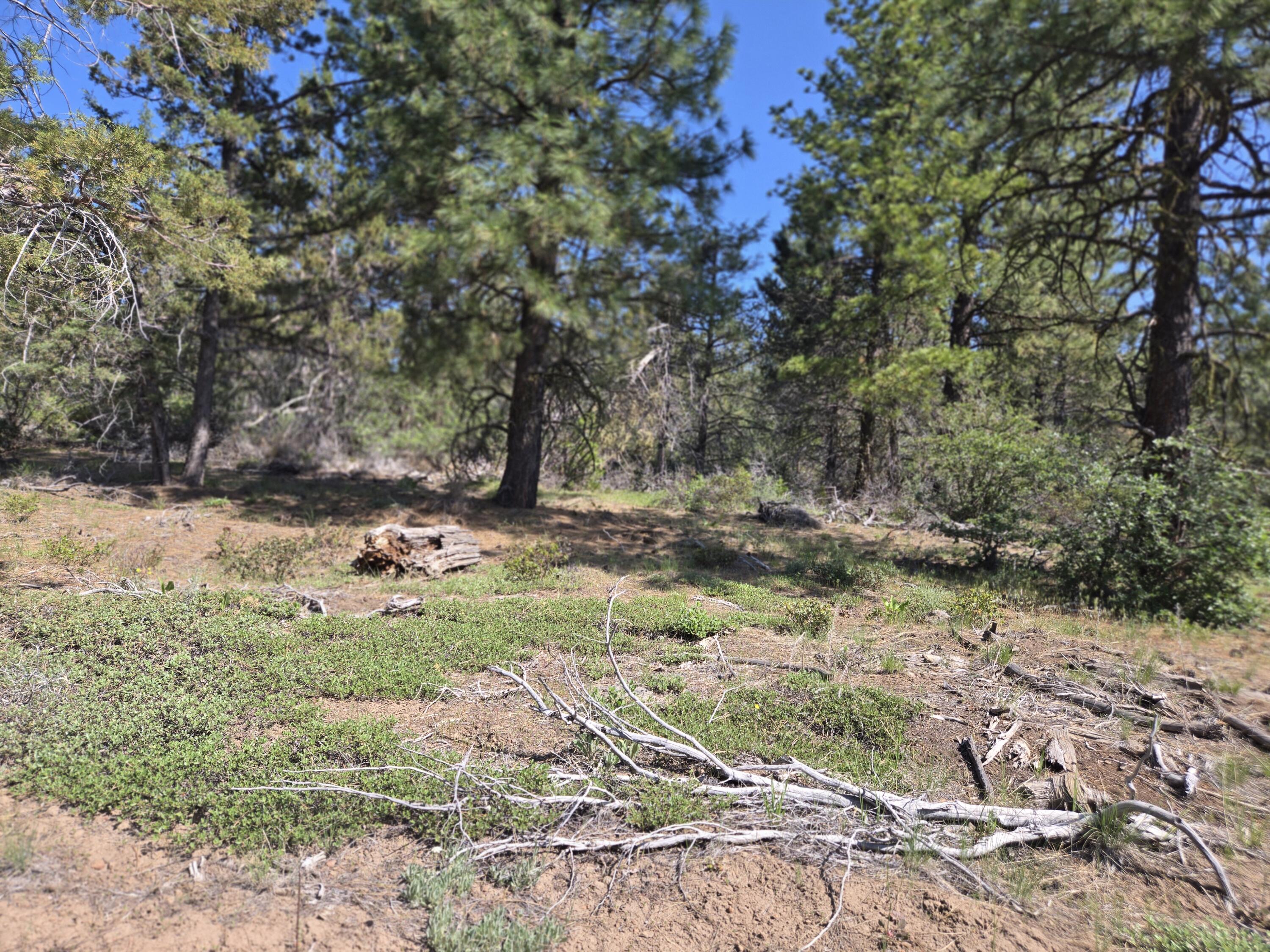 Klamath Falls Forest Estates -Hwy 66 Unit -Plat No. 1 - Land