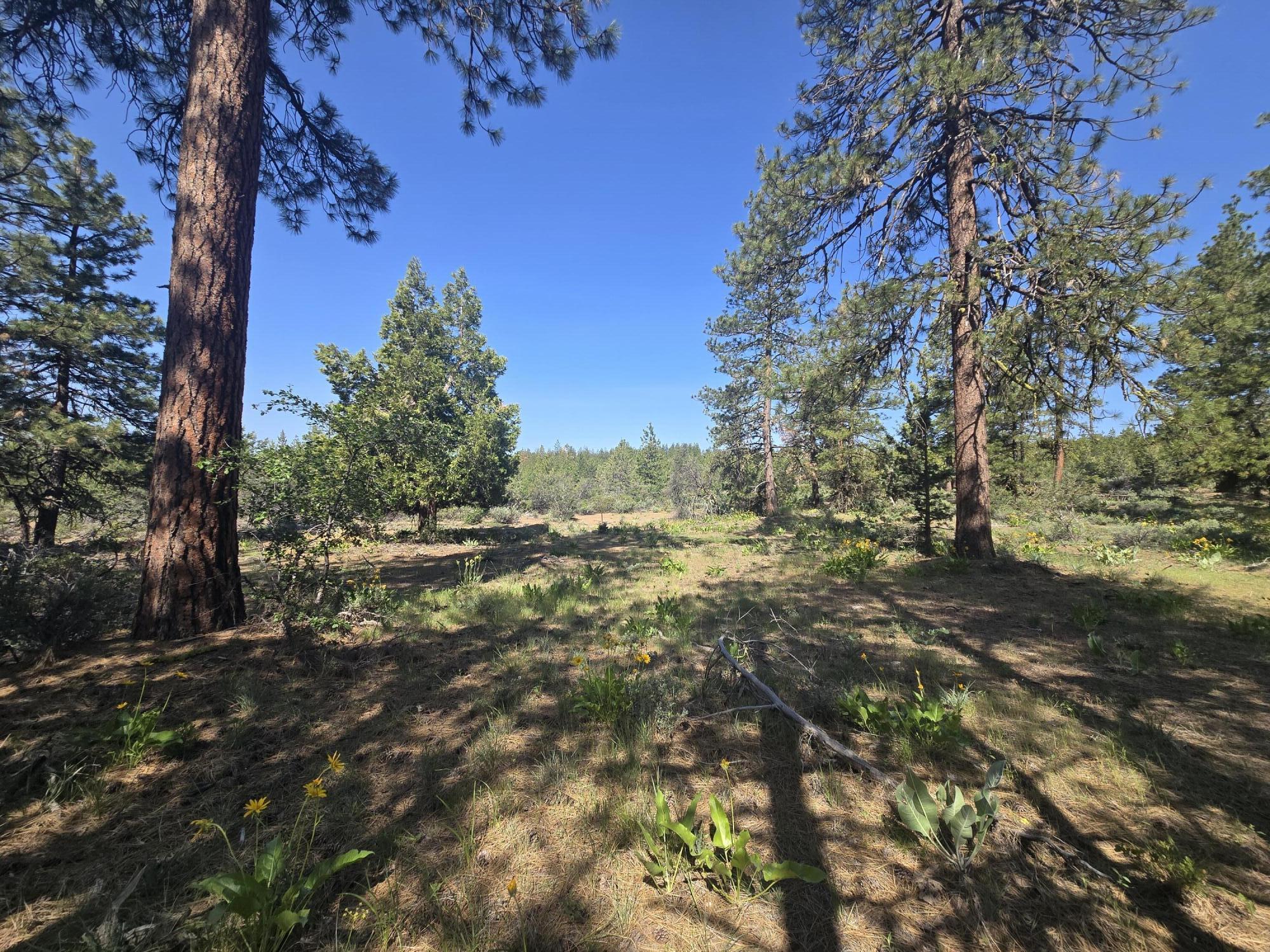 Klamath Falls Forest Estates -Hwy 66 Unit -Plat No. 1 - Land