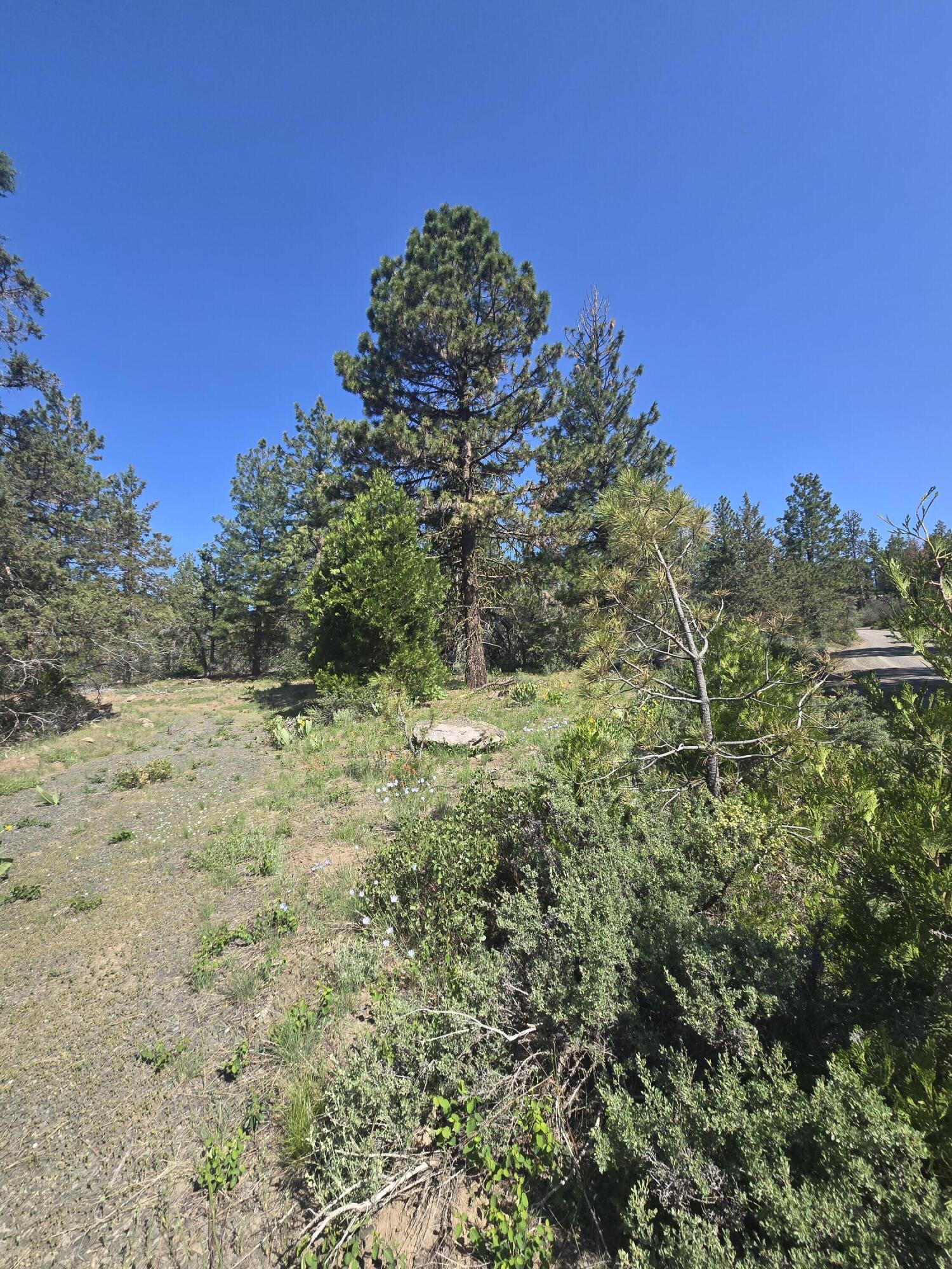 Klamath Falls Forest Estates -Hwy 66 Unit -Plat No. 1 - Land