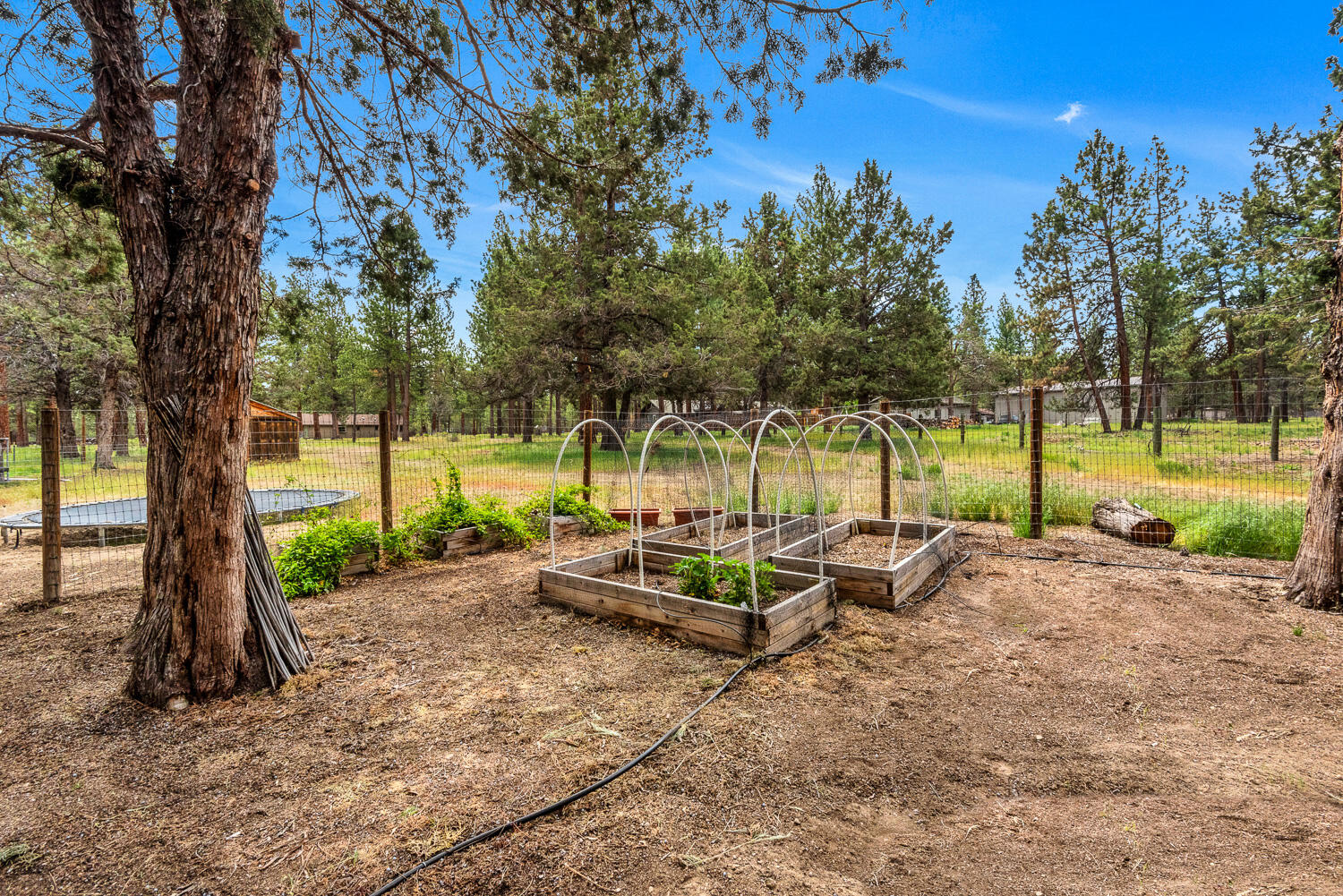 Saddleback West - Residential
