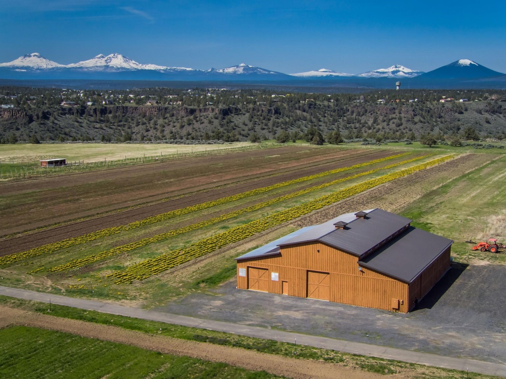 CLAJ - Residential