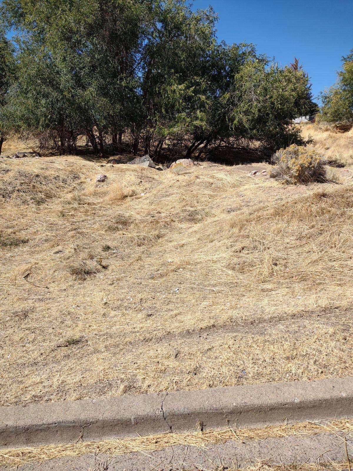 Klamath Falls -Dixon Addition - Land