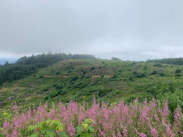 N/A - Land