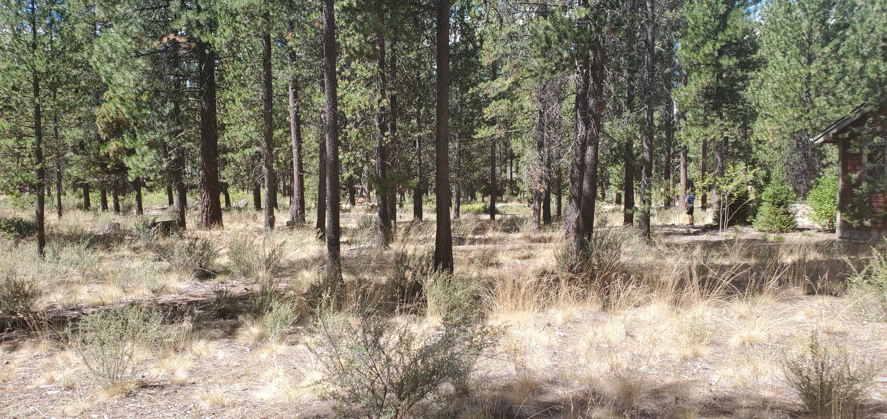 Caldera Springs - Land