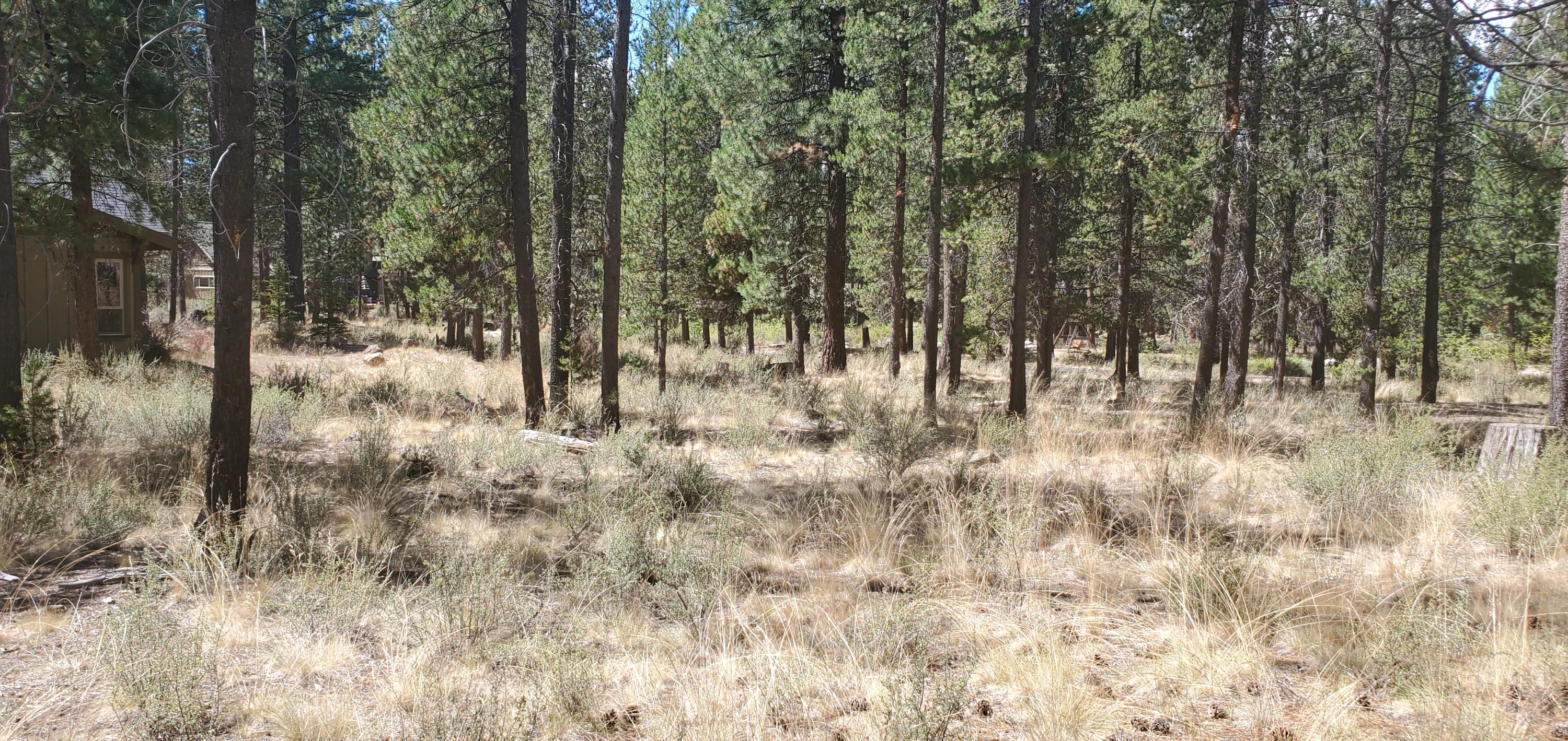 Caldera Springs - Land