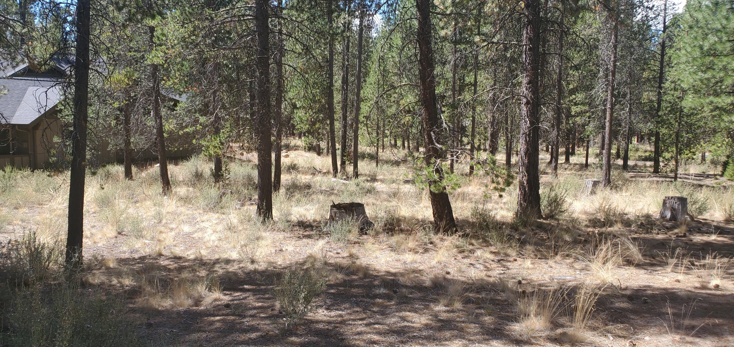 Caldera Springs - Land