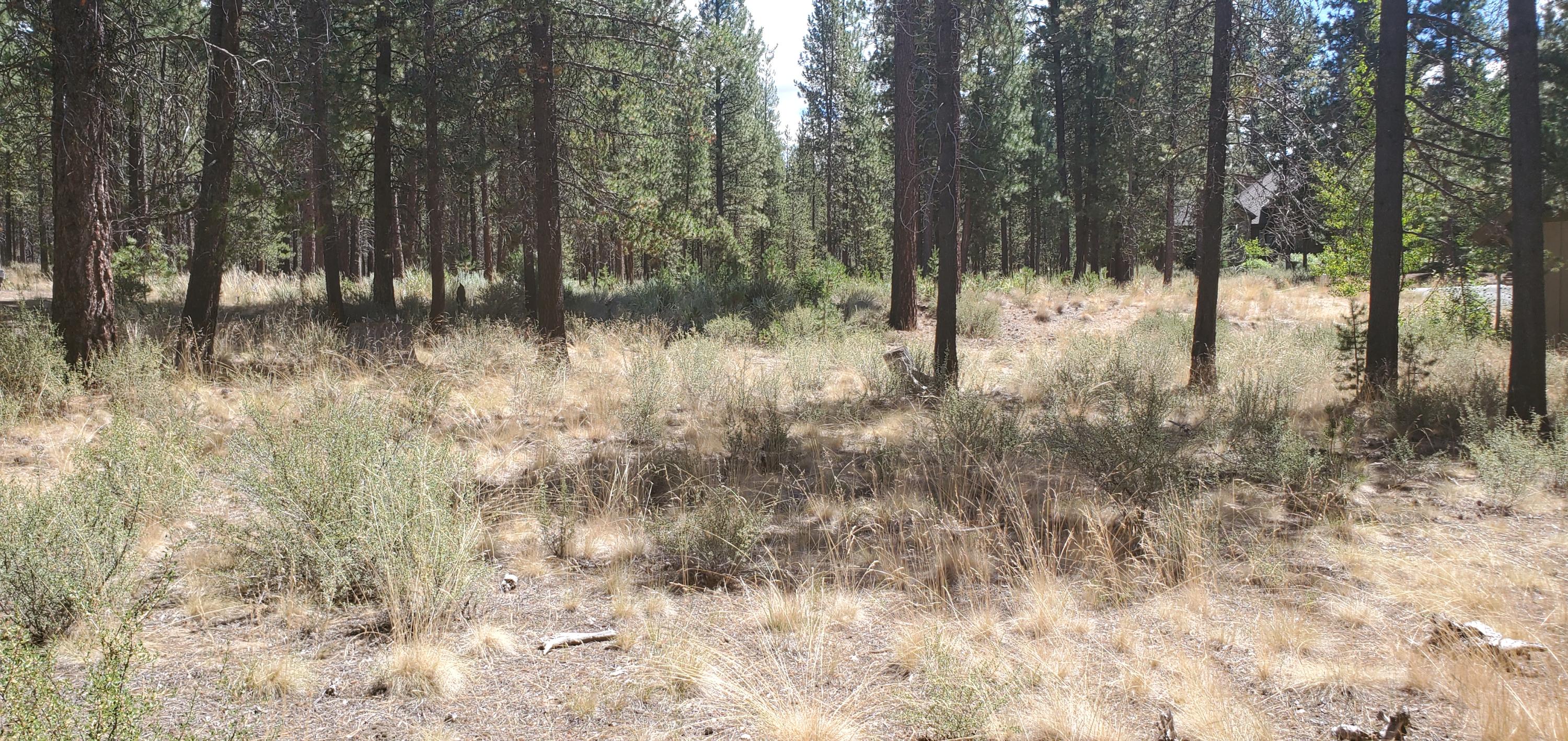 Caldera Springs - Land