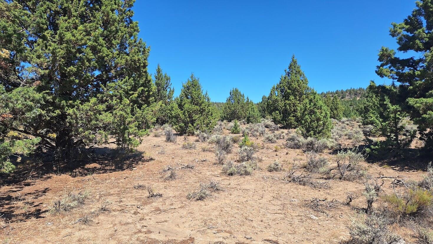 Looking for your own slice of high desert getaway? This 11.26-acre parcel sits about 30 miles from Bend, Oregon, and offers wide-open skies, plenty of space to roam, and some fantastic views of Pine Mountain and West Butte. The land borders public lands, giving you even more room to explore right out your back door.
It's a recreational, non-buildable parcel, which makes it a perfect spot for weekend camping trips, stargazing, or just escaping into the quiet of the desert. Whether you're into hiking, off-roading, or simply stretching out a chair and soaking up the views, this property gives you a front-row seat to the beauty of Central Oregon.