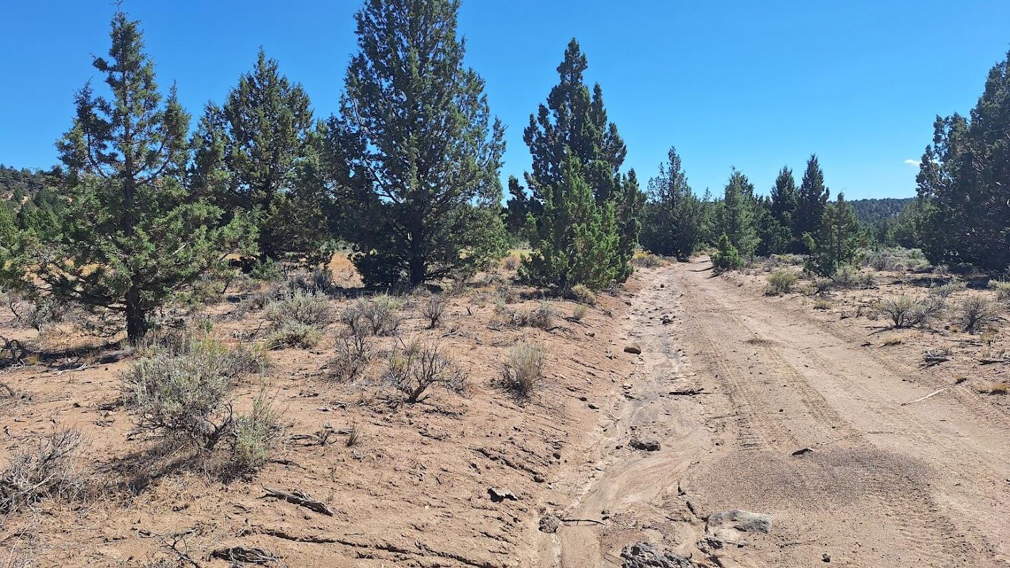 Golden View Ranch - Land