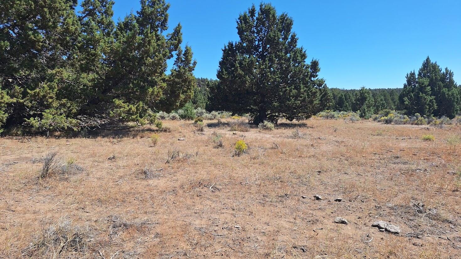 Golden View Ranch - Land