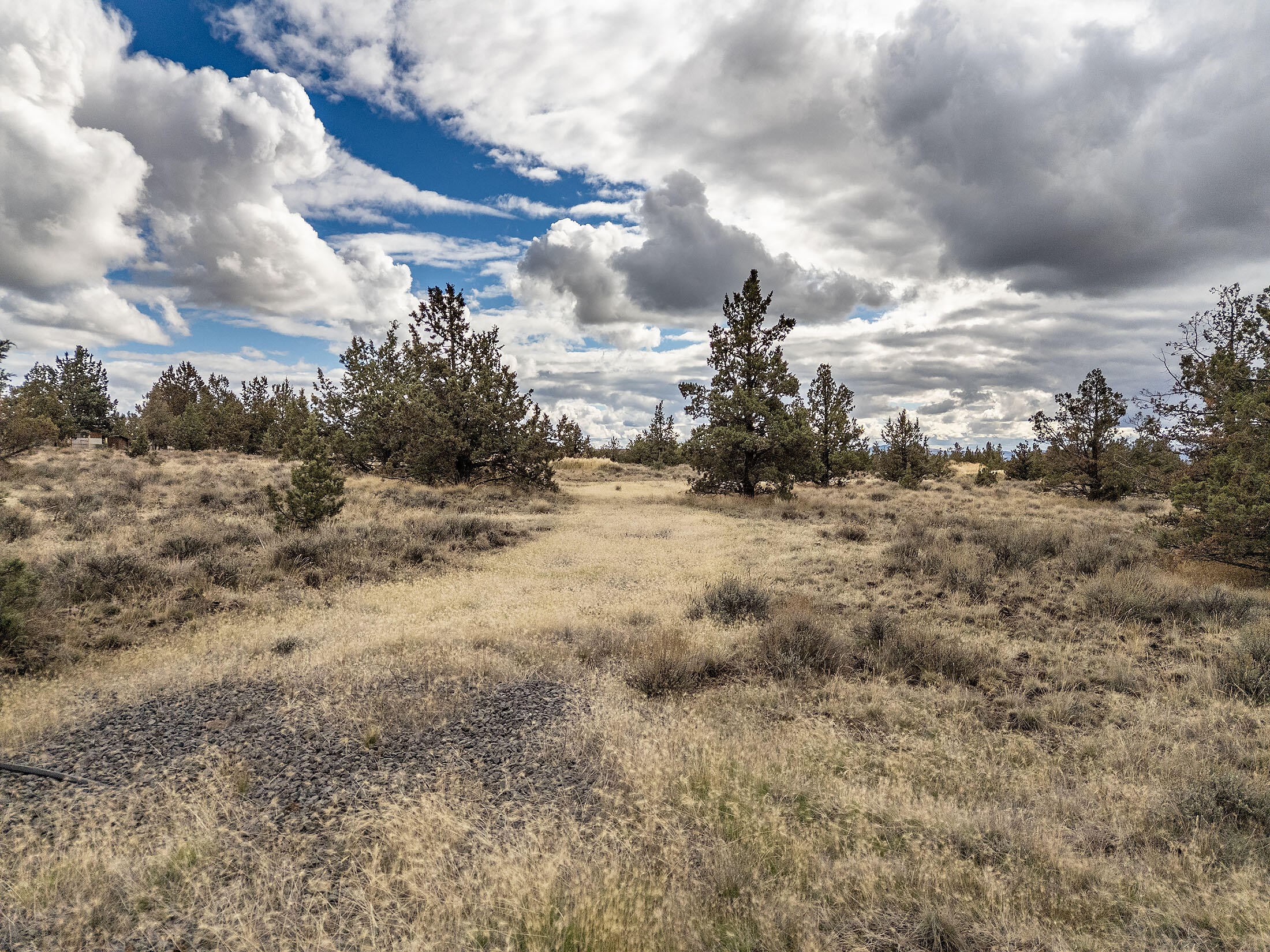 Ochoco Land + Livest - Land