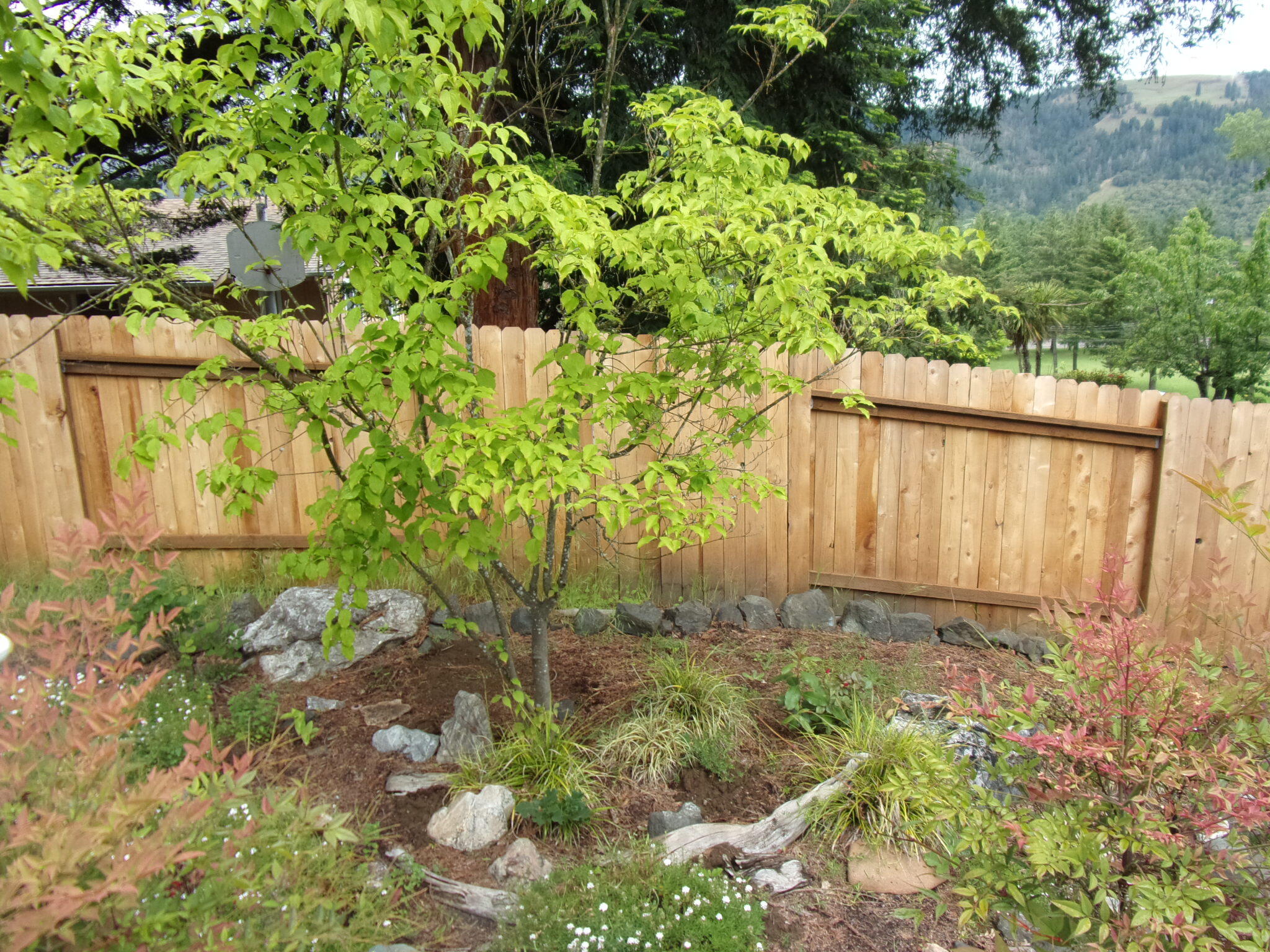 Myrtle Creek - Residential