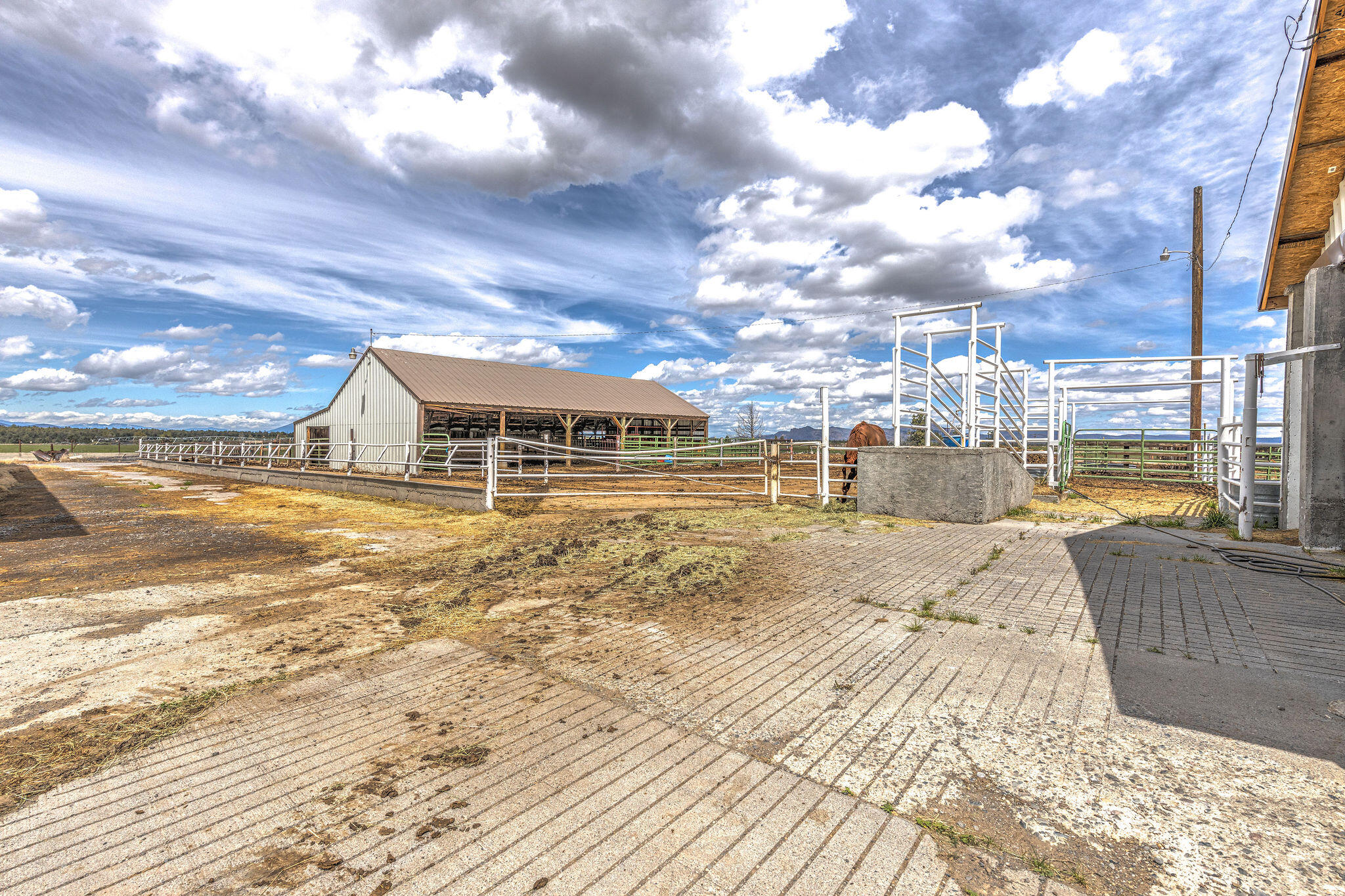 N/A - Farm