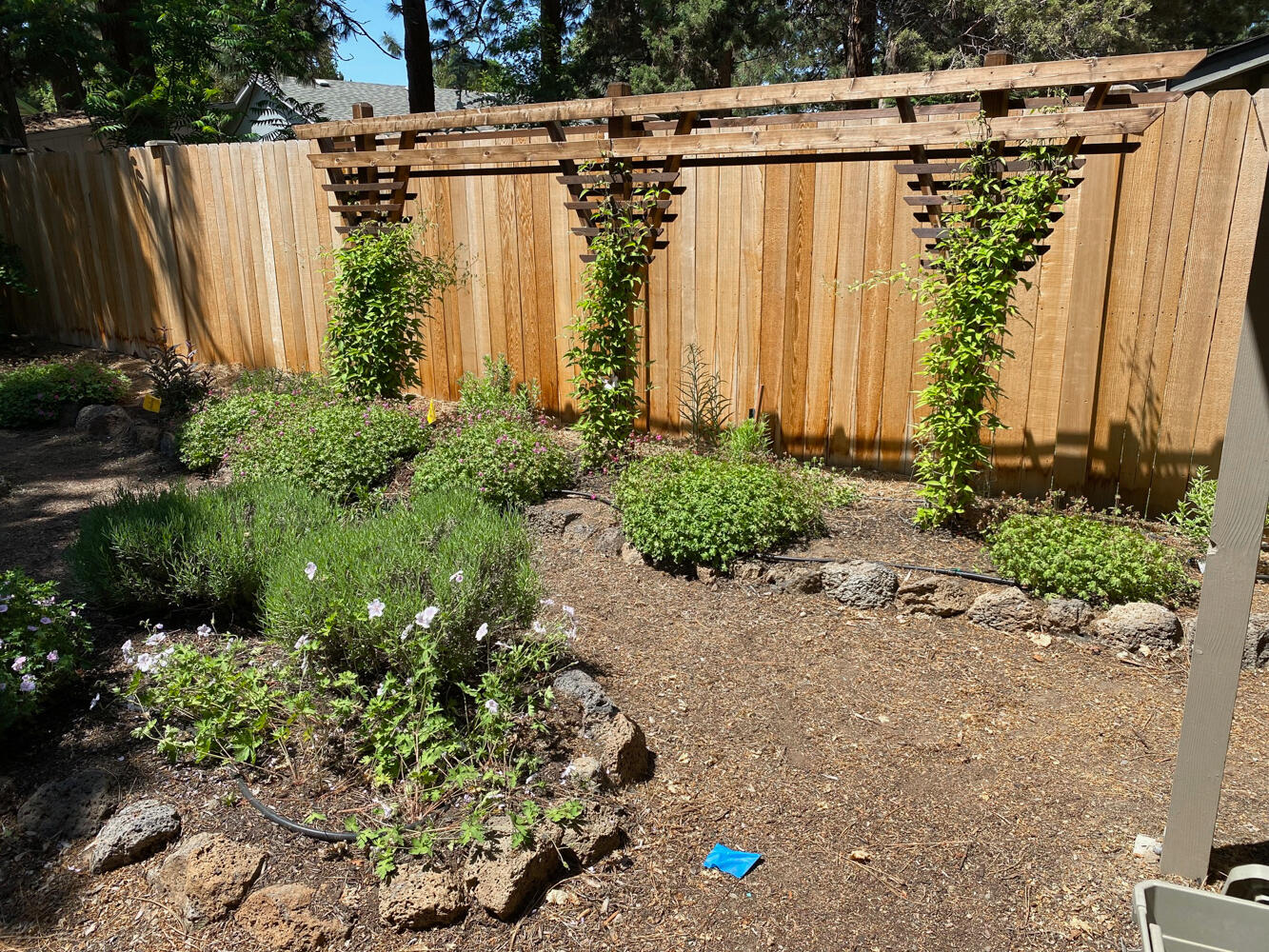 Kiwa Meadows - Residential