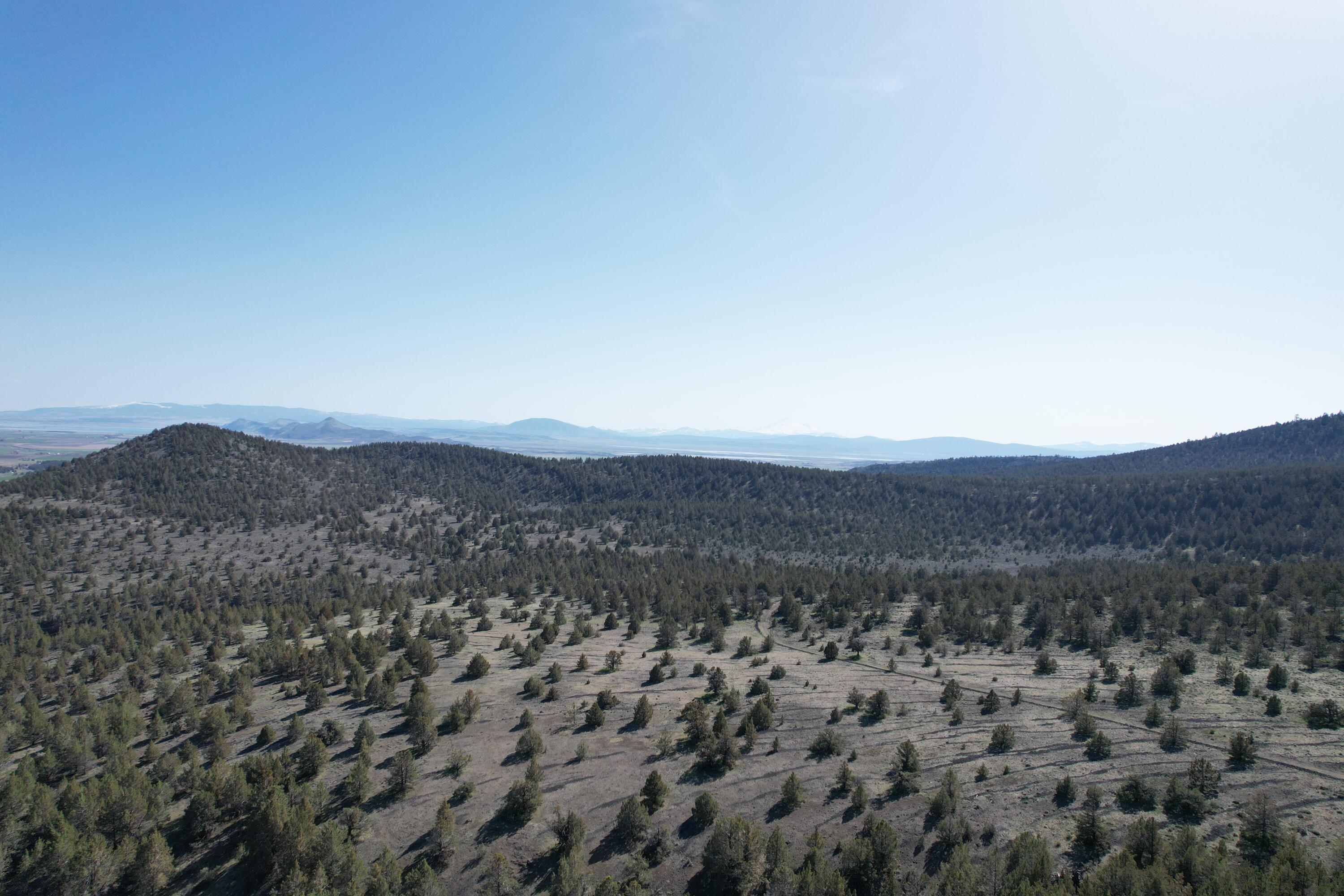 Merrill - Land