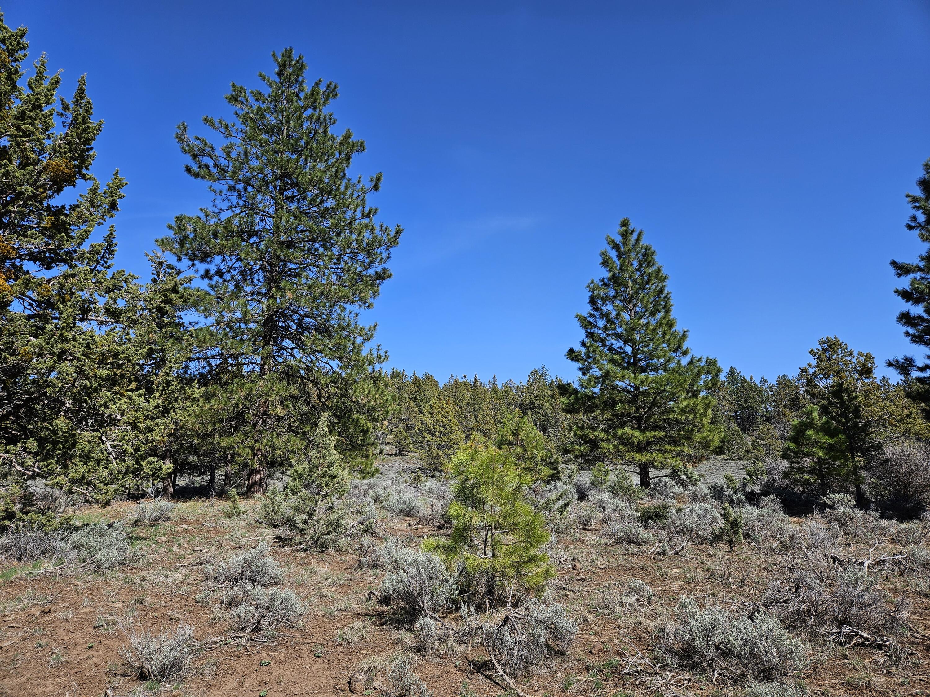 Merrill - Land