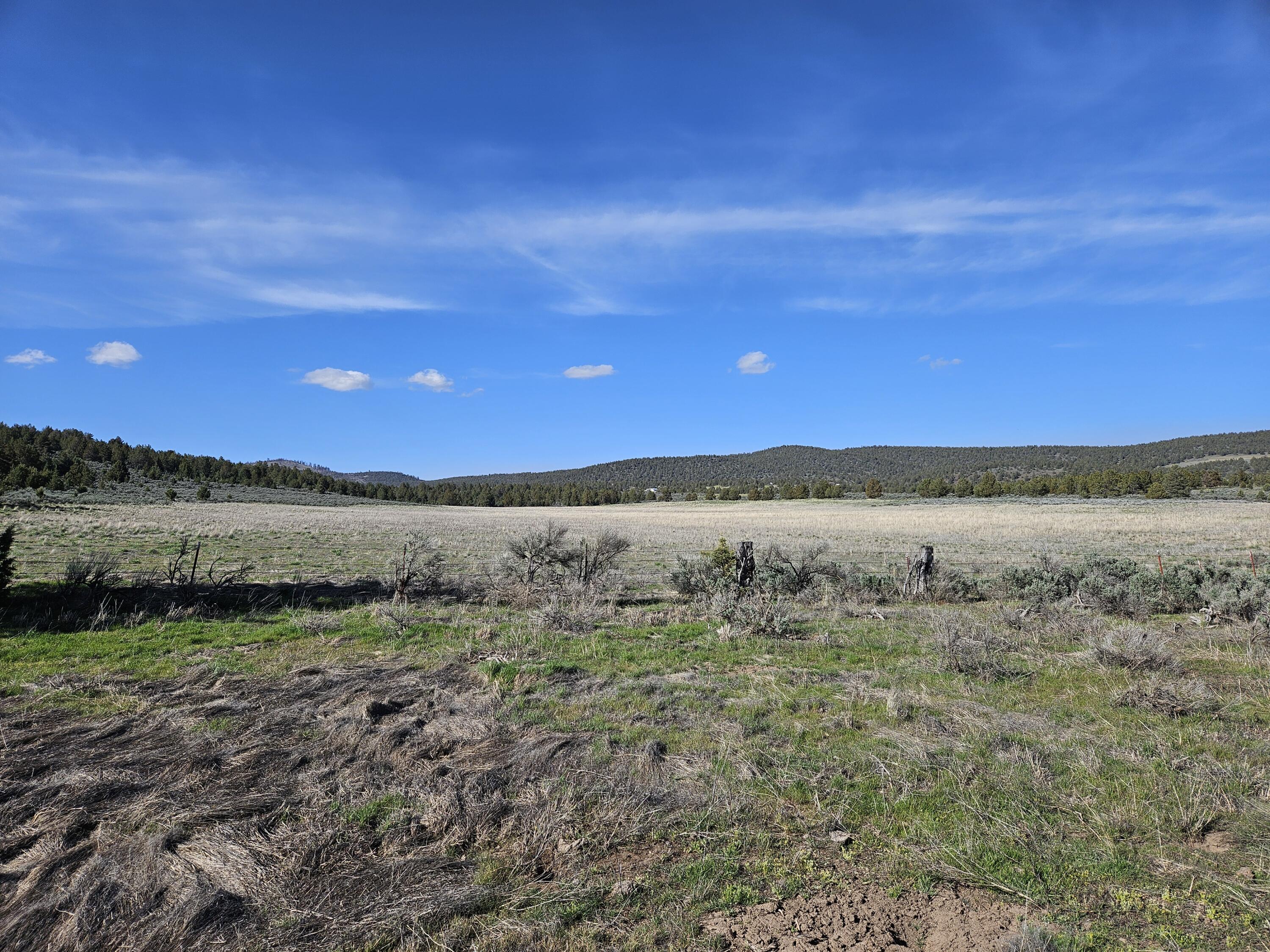 Merrill - Land