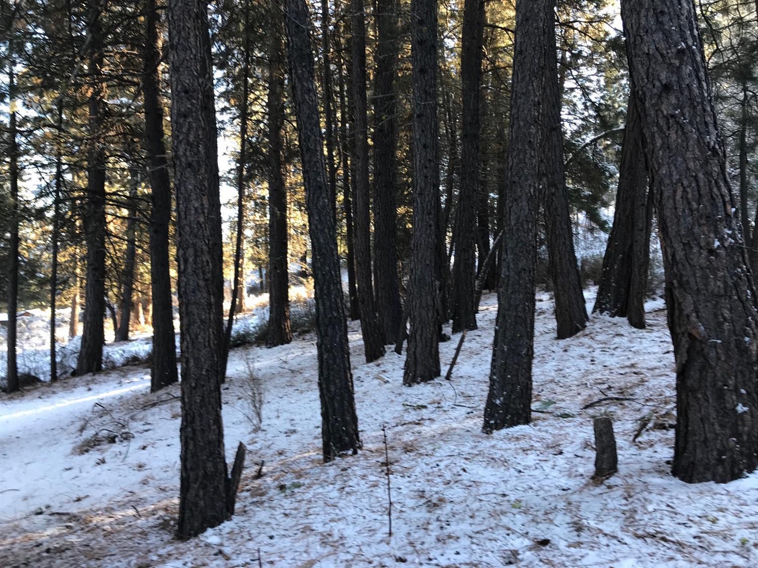 Williamson River Pines - Land