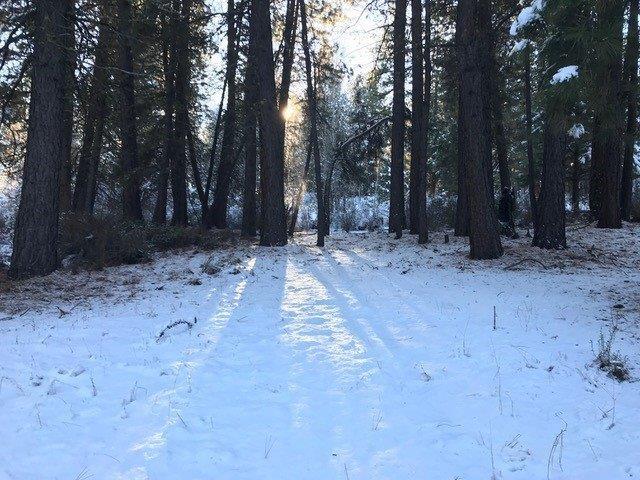 Williamson River Pines - Land