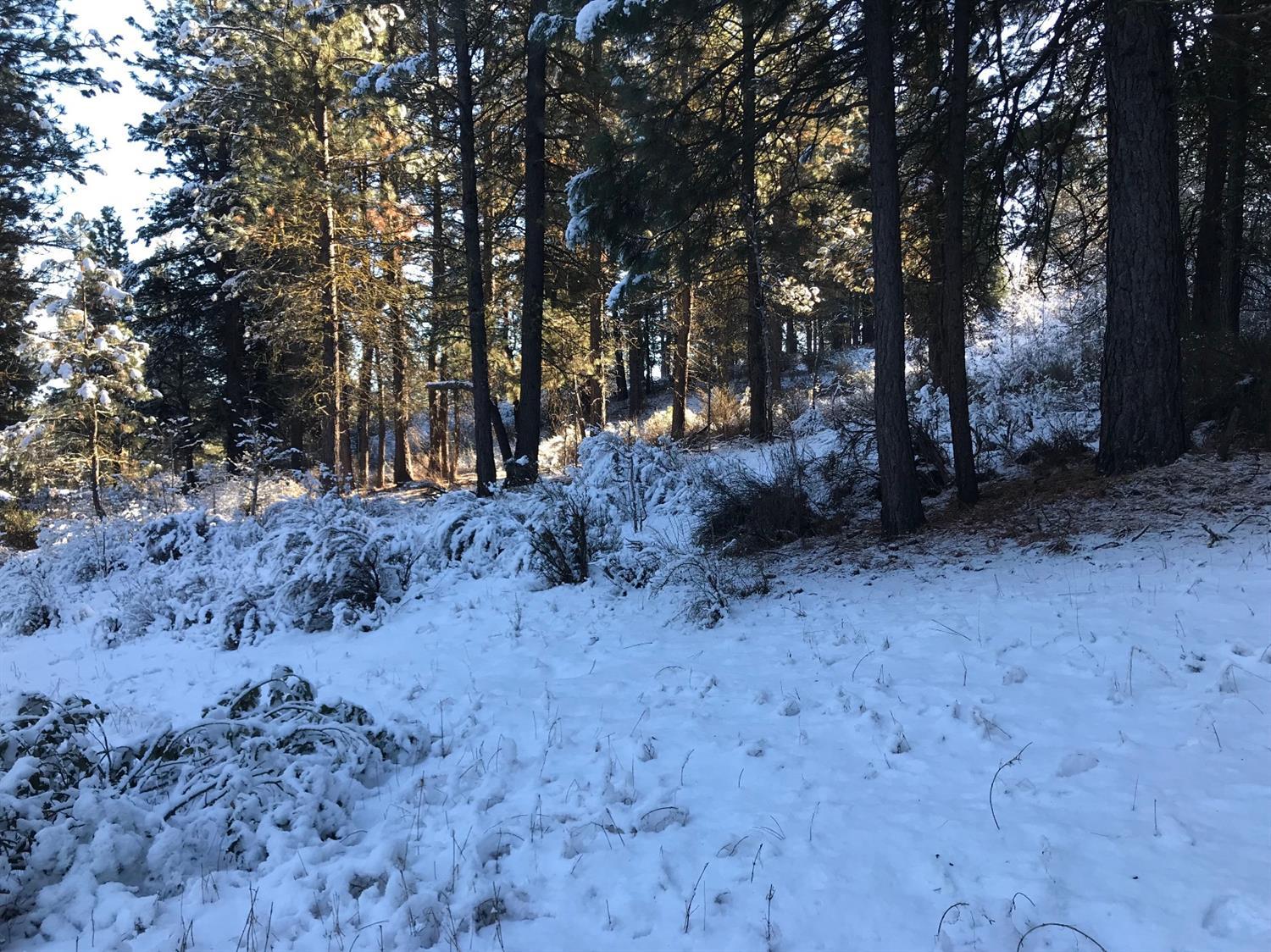 Williamson River Pines - Land