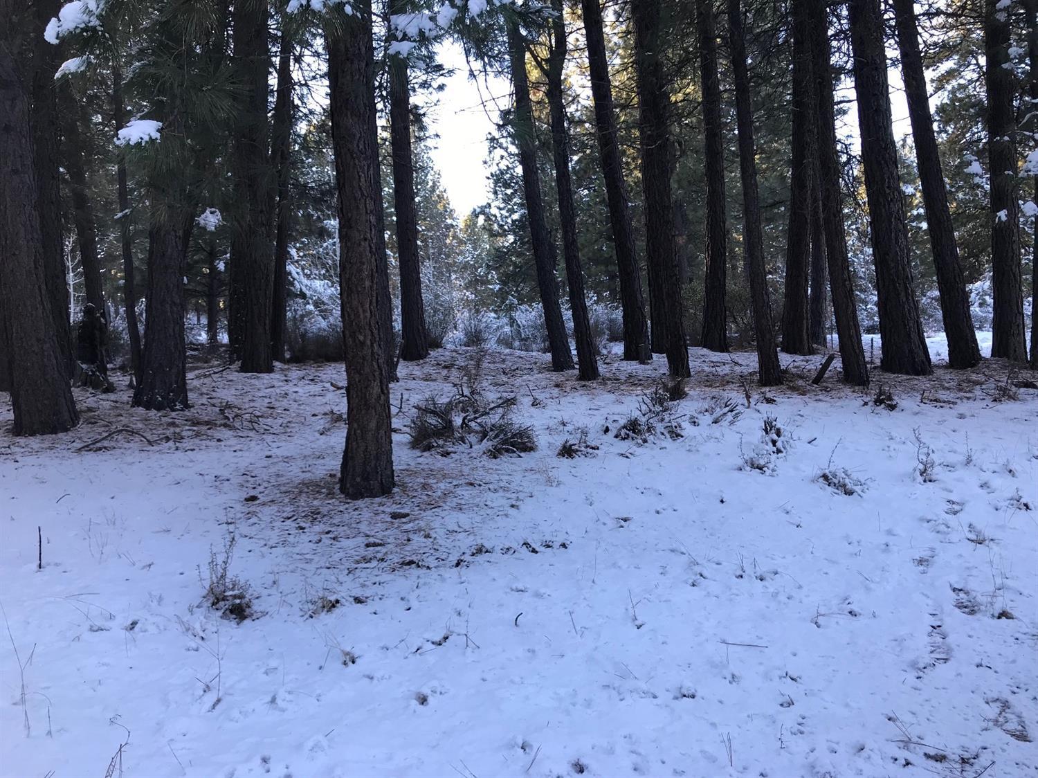 Williamson River Pines - Land