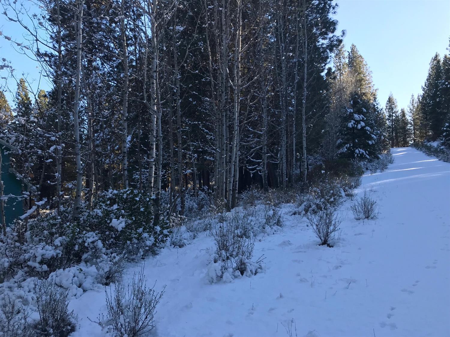Williamson River Pines - Land