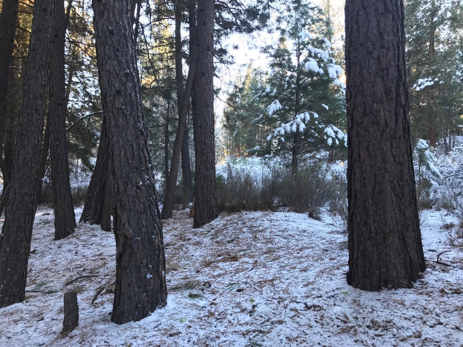 Williamson River Pines - Land