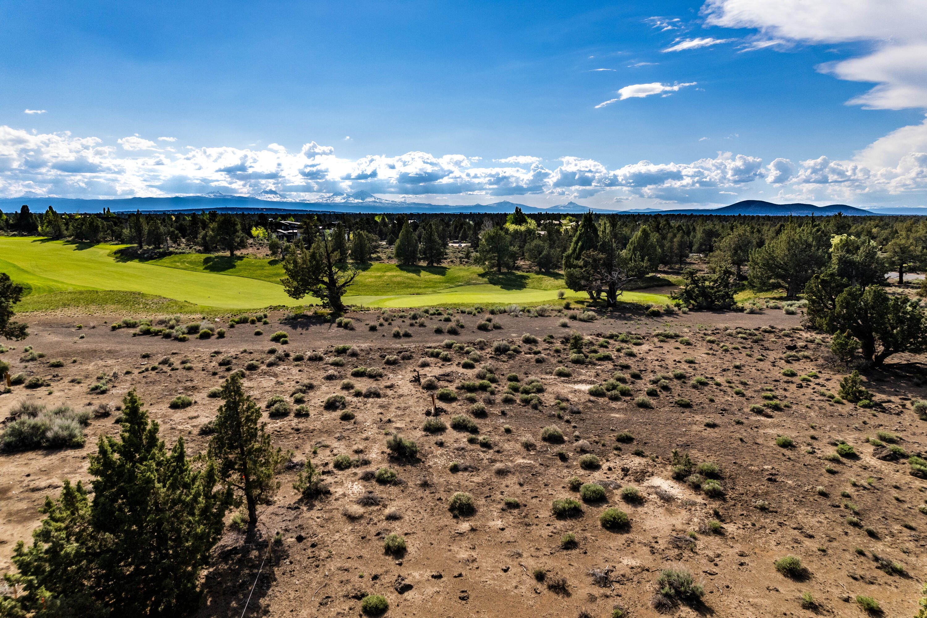 Pronghorn - Land