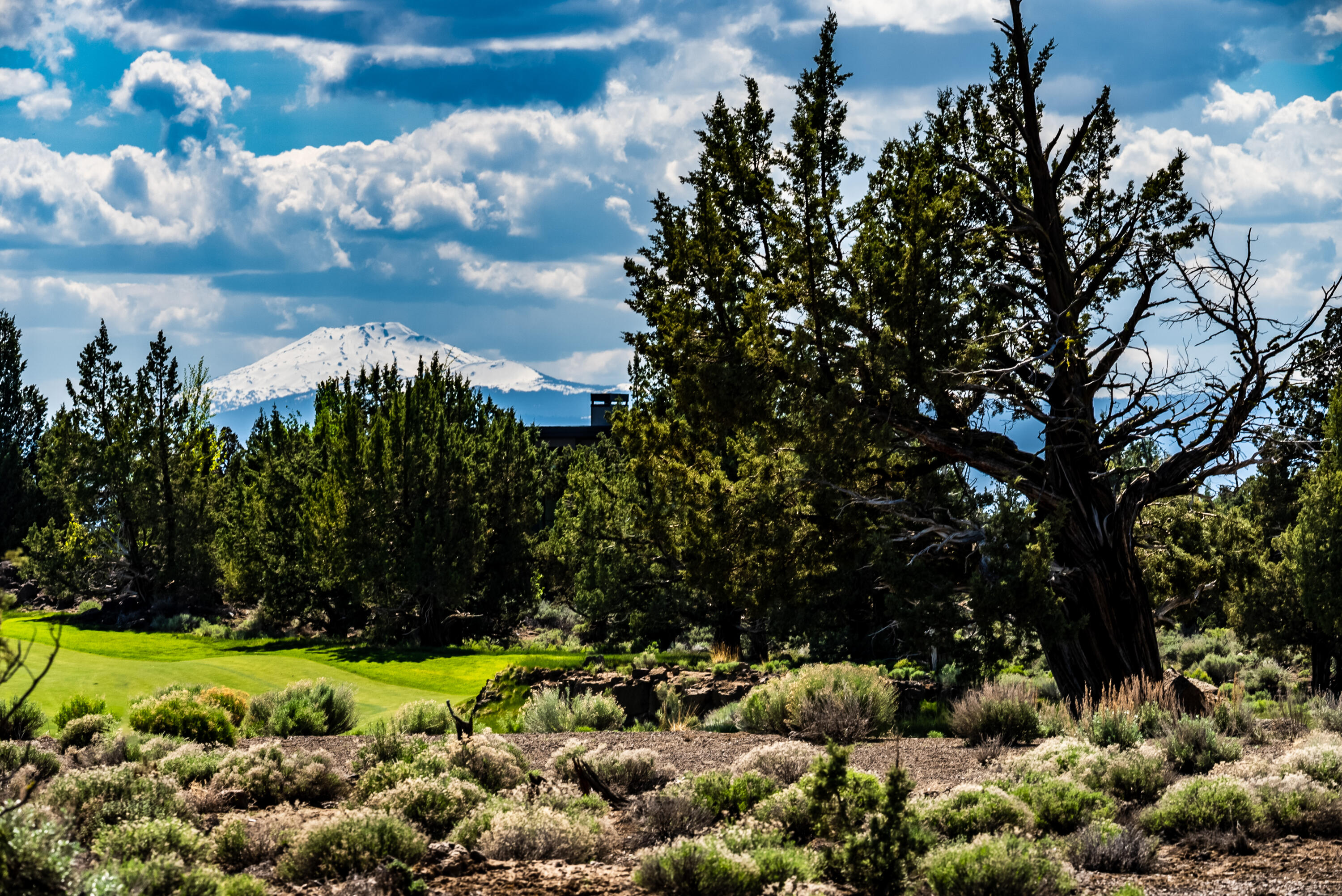 On the #7 Signature hole of the Tom Fazio Golf Course, above the lava tubes and views of the Cascades. This 1/2 acre homesite is ready for you to build your dream home here and can even have plans included. Enjoy all the amenities of the vibrant Pronghorn community! 36 holes of Championship Golf, Private Members Club, Restaurants & Cocktail options, Concierge Services, Staffed 24-hour Gate, Day Spa, Pools,Fitness Center & Tennis, Dog Park. Includes a full Pronghorn Premier Club Membership. Call for details!