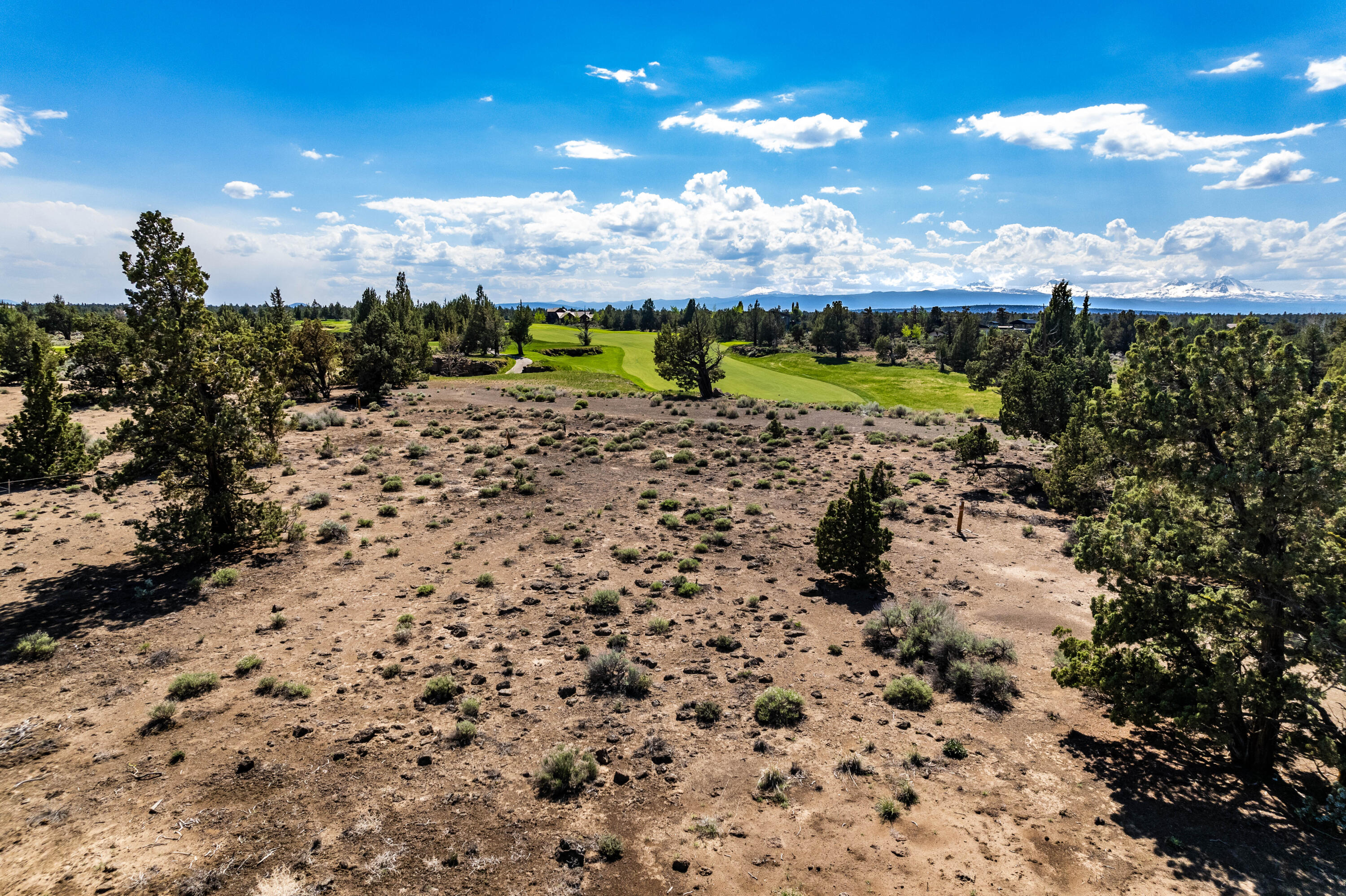 Pronghorn - Land