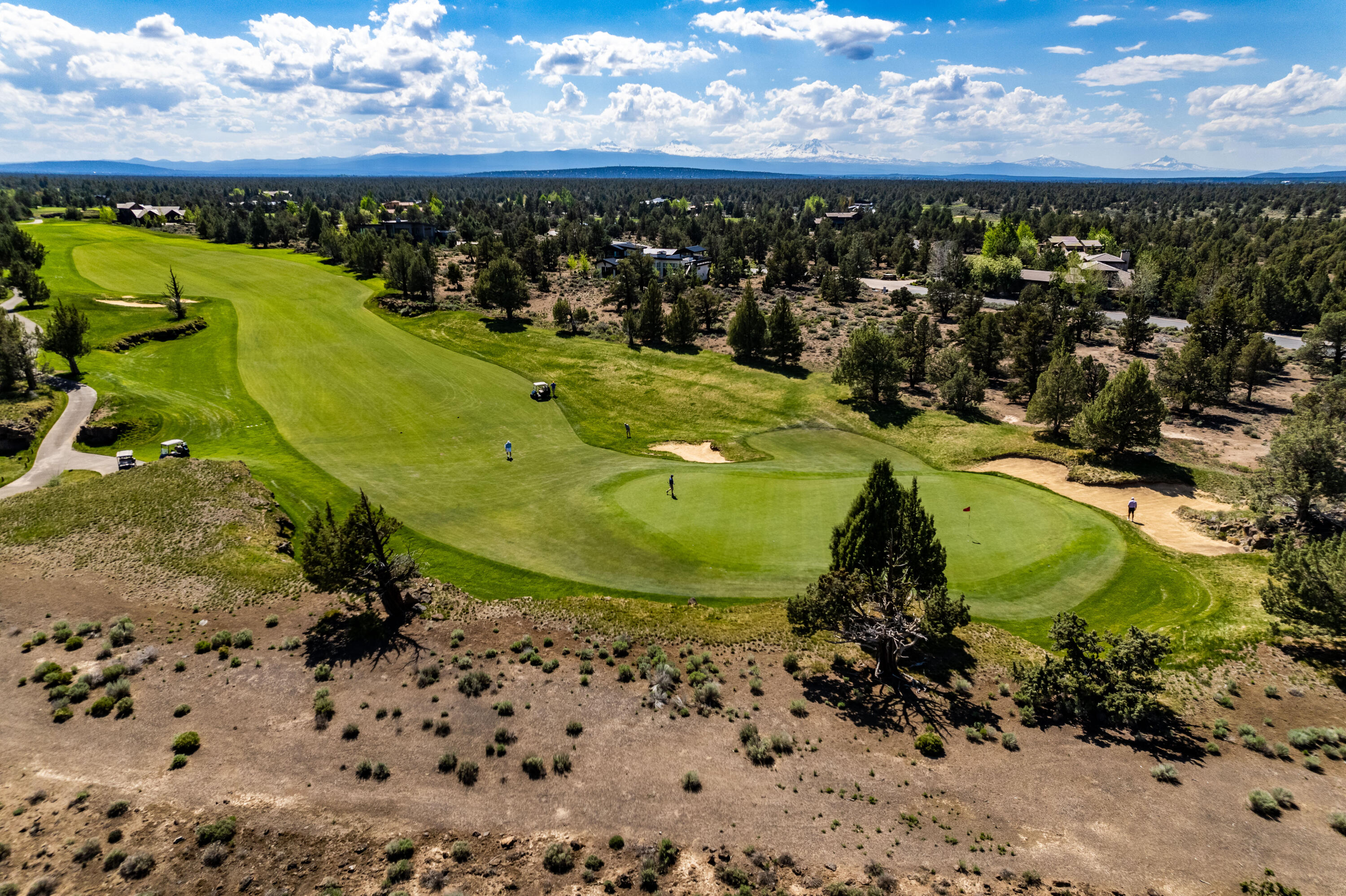 Pronghorn - Land