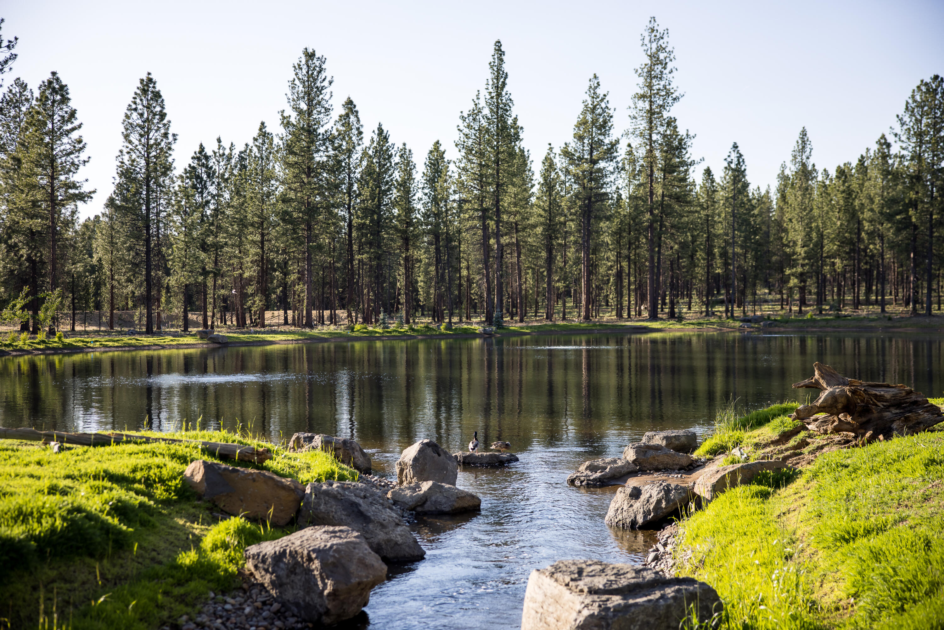 Caldera Springs - Residential
