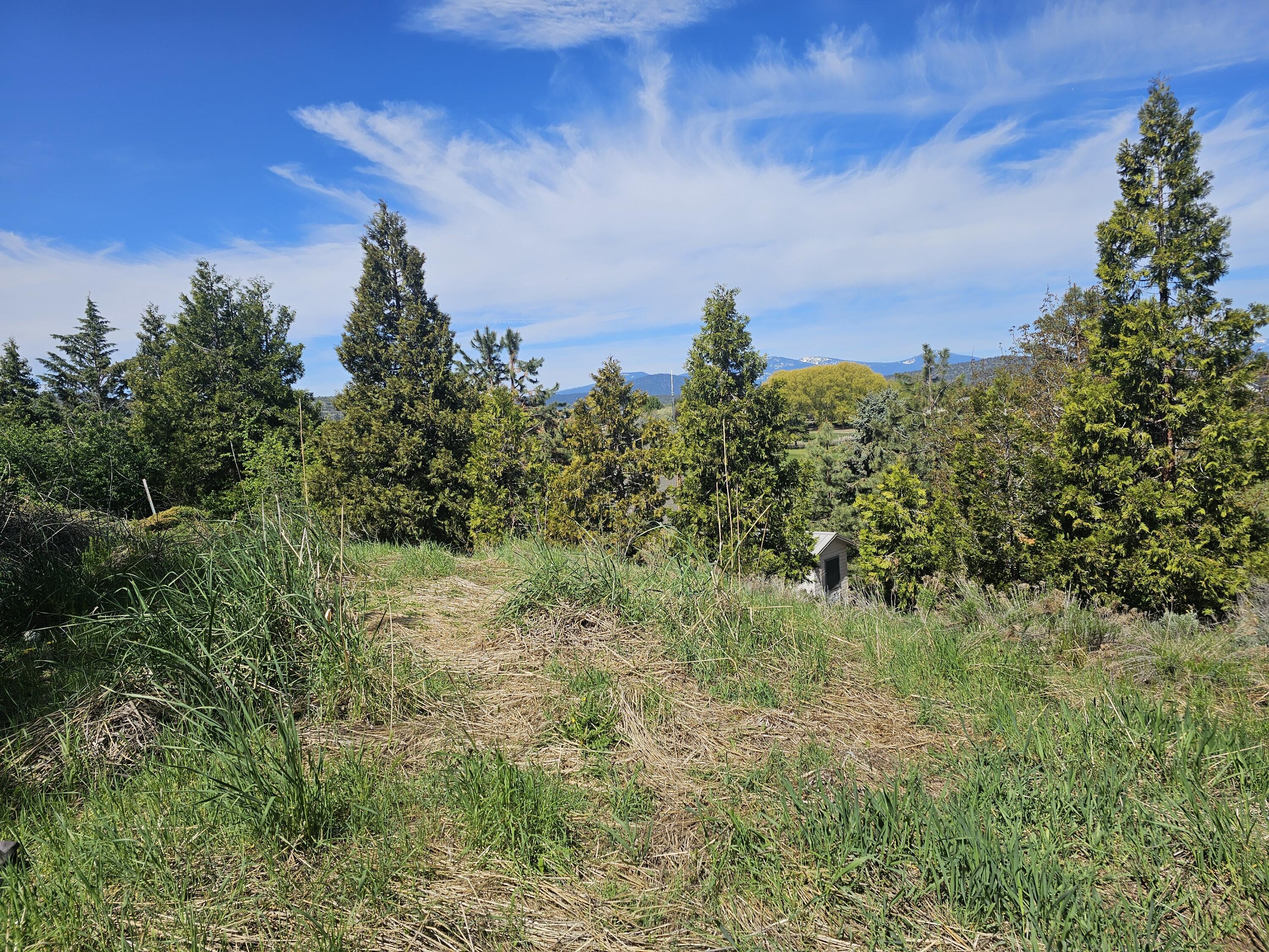 Vacant lot in the City of Klamath Falls really close to Moore park & lake. Zoned SF less than 5 minutes away from Pelican Elementary School. Lots of potential for the right buyer or developer. Buyer to perform their due diligence regarding location of utilities and suitability for buyer's intended use, etc. Come & check it out & imagine the possibilities for this parcel!
Coordinates 42.24784, -121.80646
