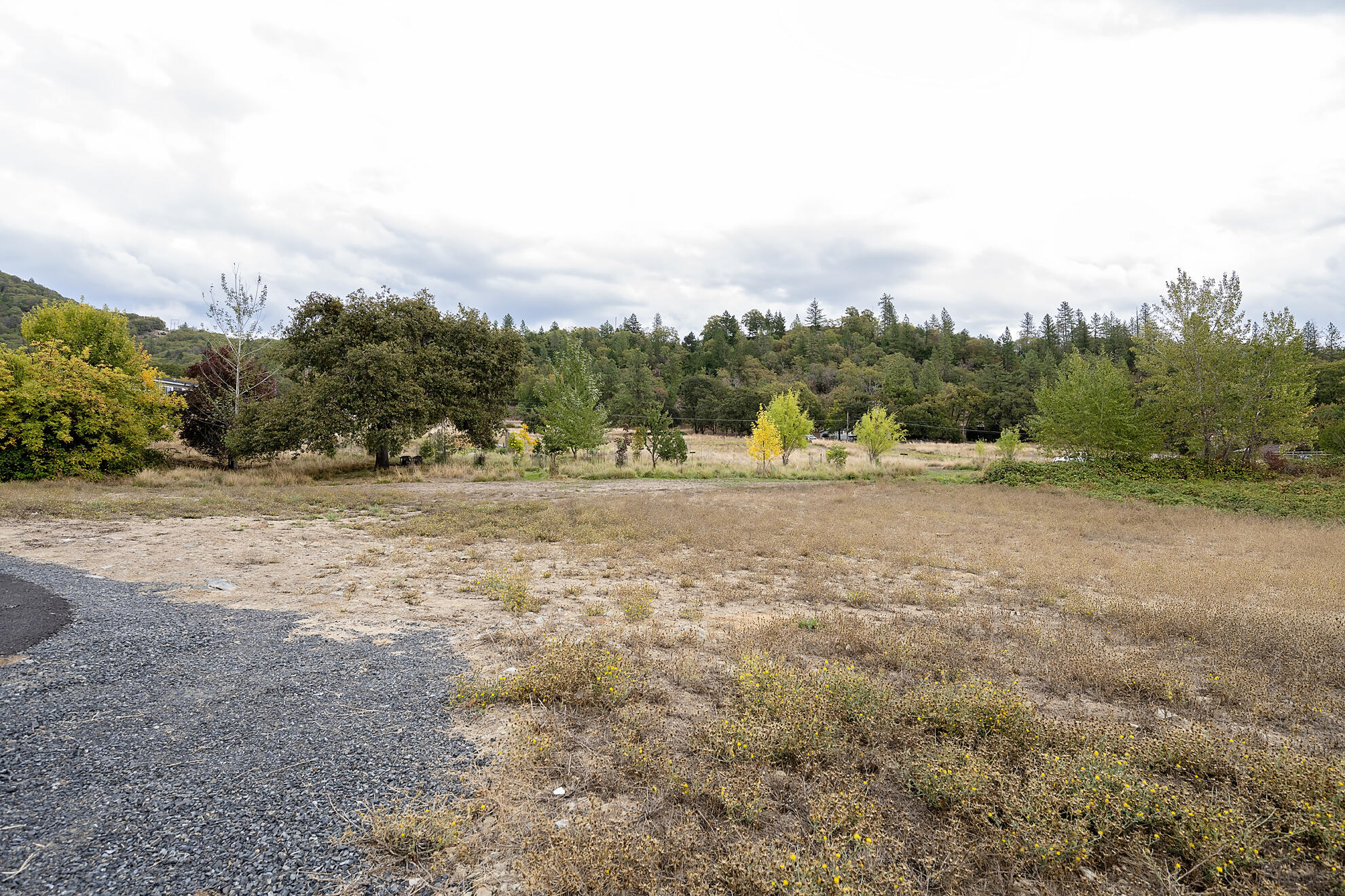 .76 Acre of Tranquil beauty Just outside of Rogue River. Discover the perfect canvas for the home you've always dreamed about building. This .76 acre residential lot in Rogue River offers a blend of convenience and tranquility. Enjoy stunning mountain views and the peace of country living-all the while being just minutes from town. Ample space for a custom home, garden or outdoor living. This property is a rare find in a highly desirable location, don't miss this opportunity to build your dream home in a serene, yet accessible sitting with all city services provided, sewer, water, Natural Gas, including cable. Property also has irrigation. Only 2 miles from I-5. Seller is willing to do owner carry 20% down 1st year @ 2.9% interest-only payments Yrs 2-4, 4.9% interest only payment. Principle an be added to the payment if buyer wants