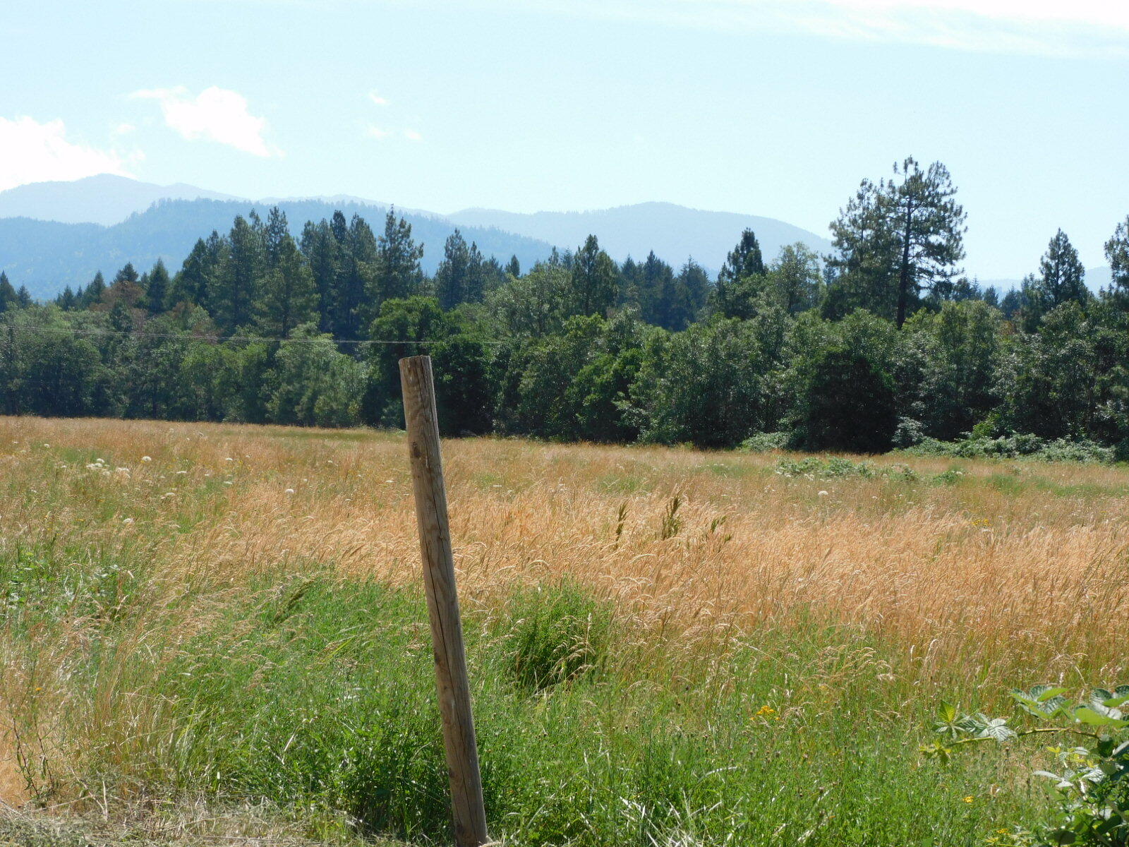 Takilma Townsite - Farm
