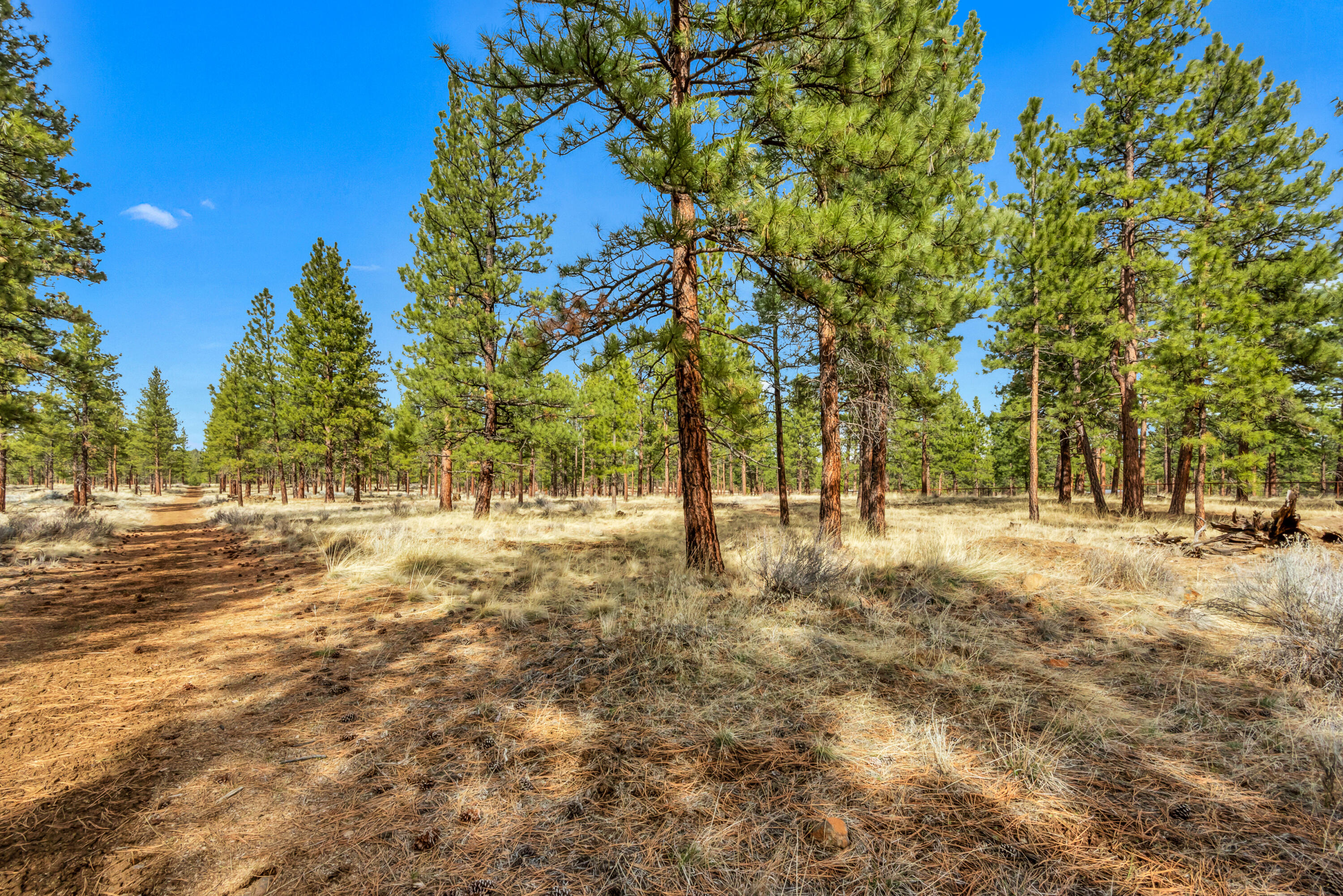 Lynwood Acres - Residential