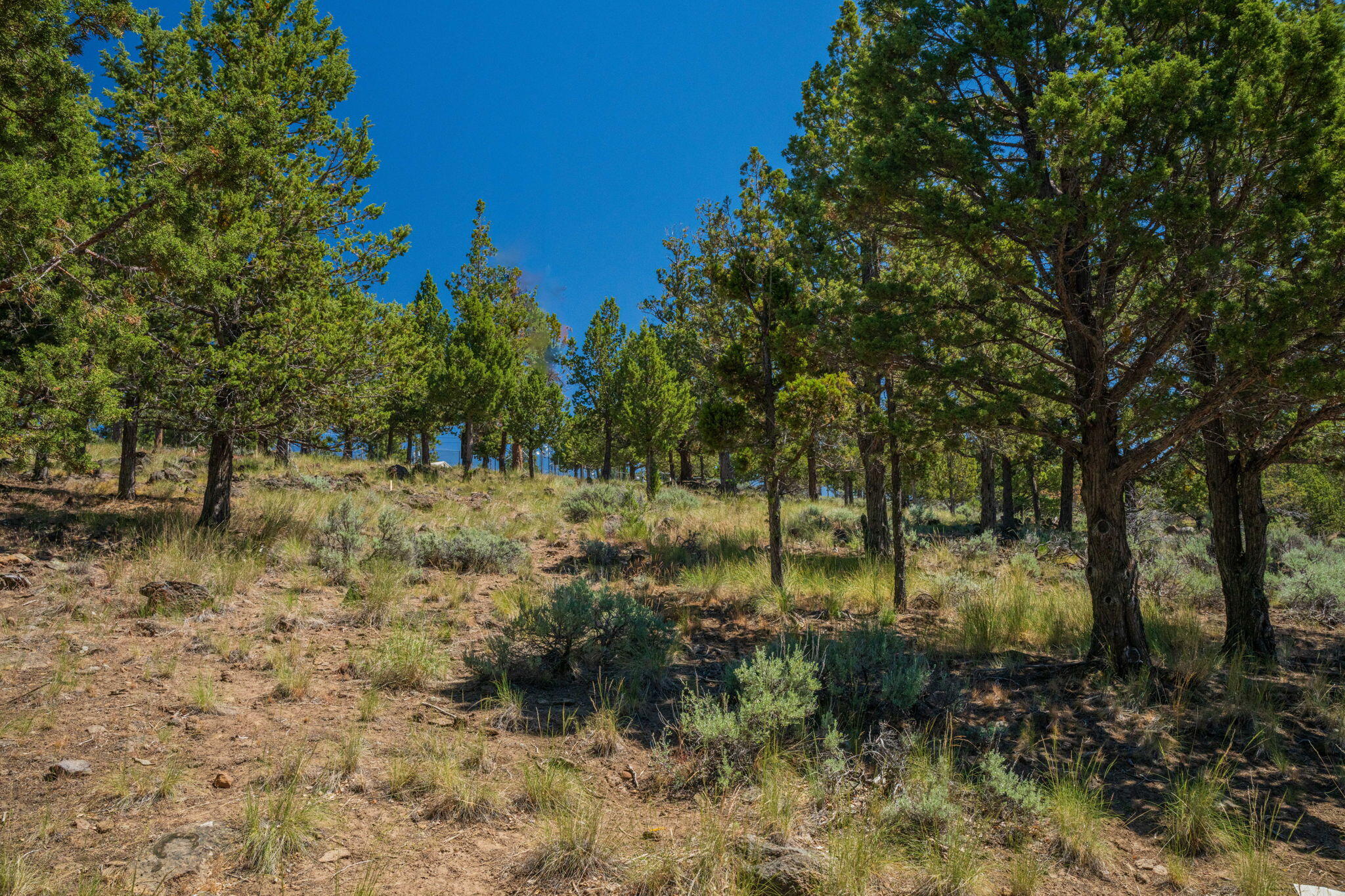 Awbrey Butte - Land