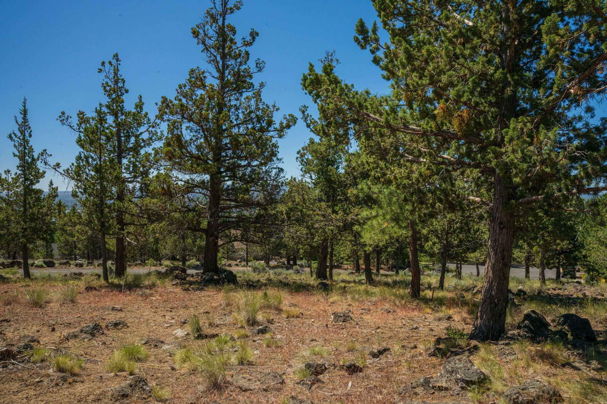 Awbrey Butte - Land