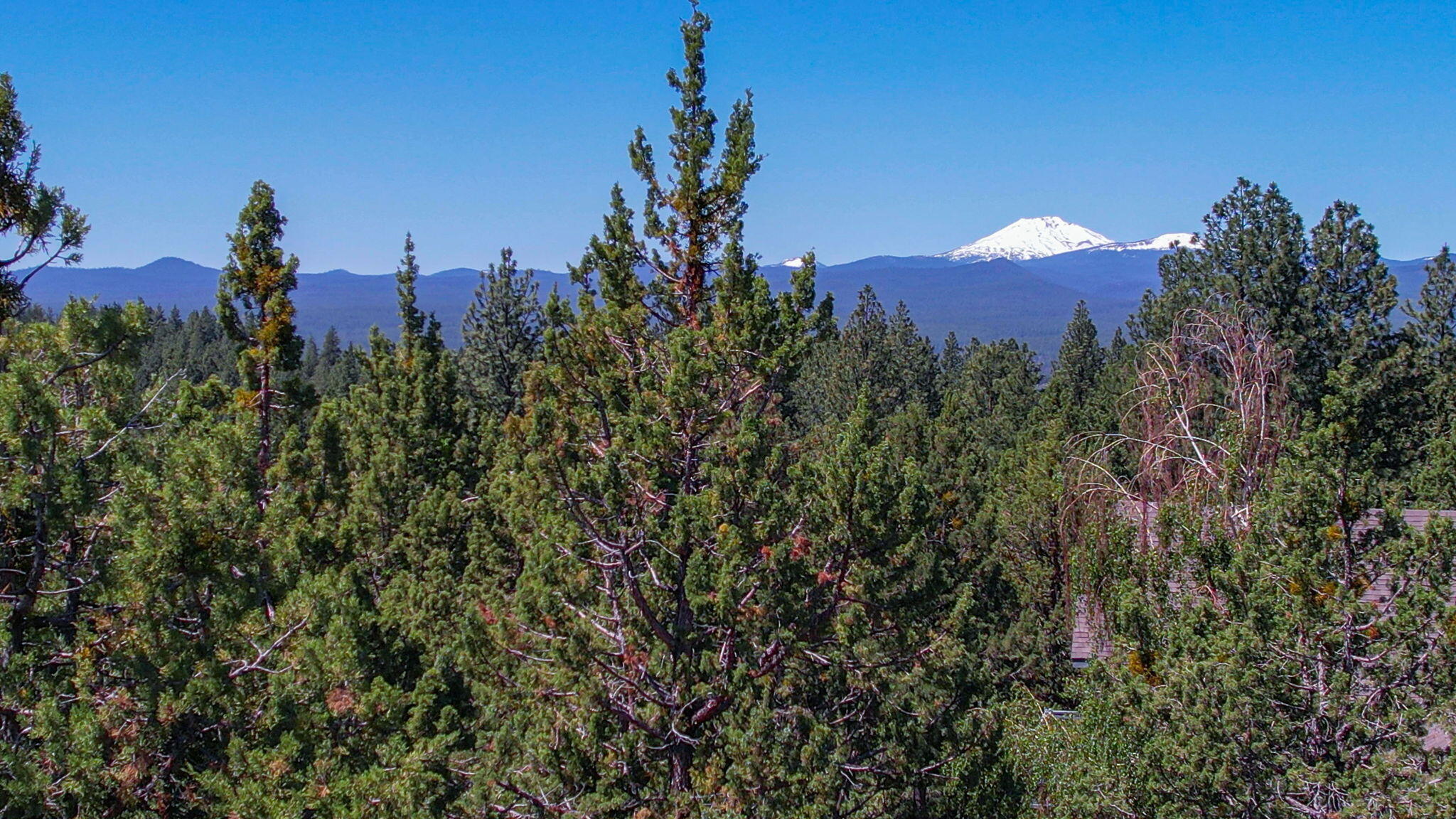 Awbrey Butte - Land