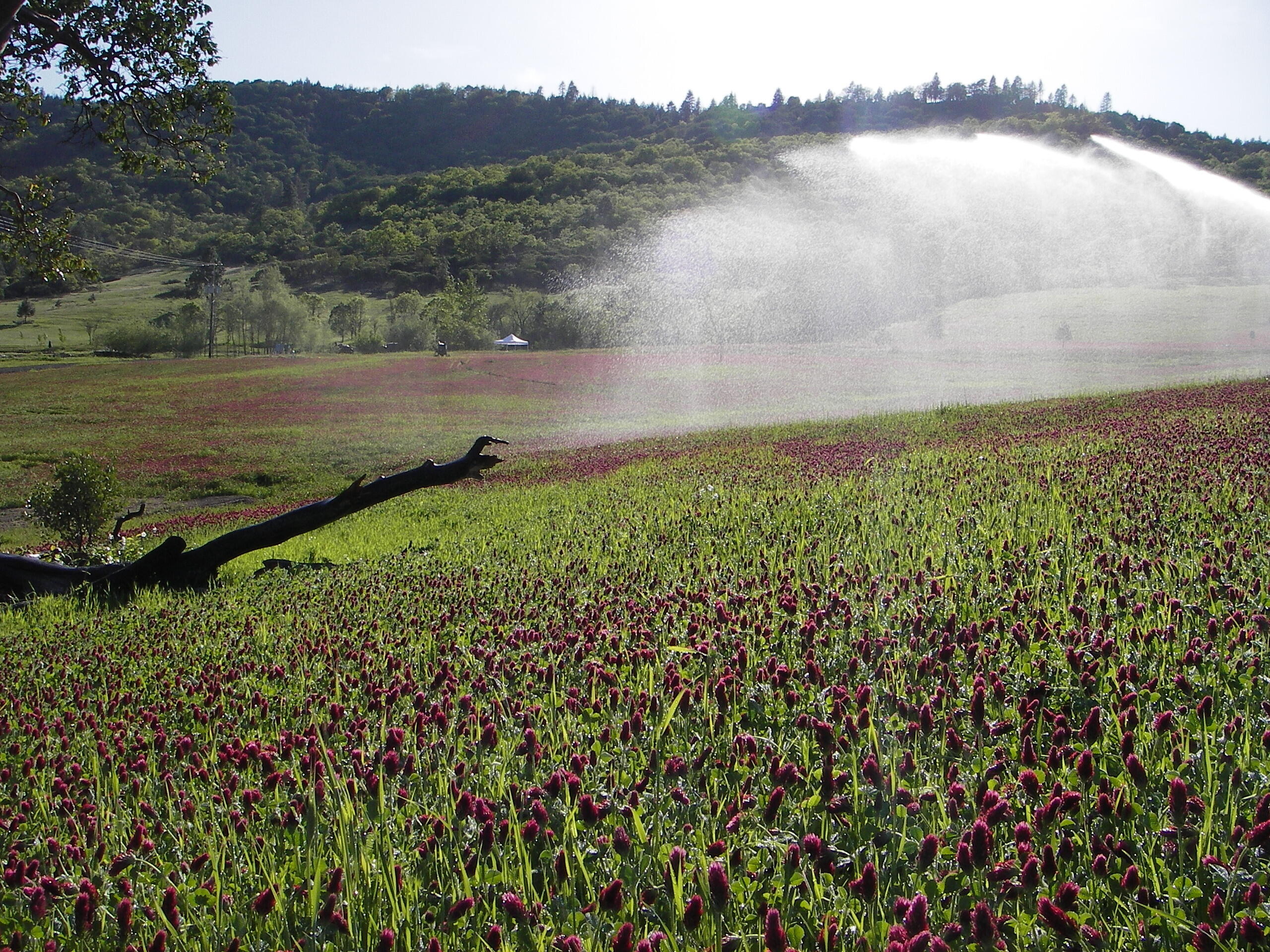 N/A - Land