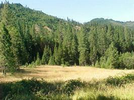 Beautiful Land - Some Pasture, Lots Of Trees, A Partially Developed Spring. The Old Hse Was Torn Dn, You Can See The Pad Where It Stood. Totally Surrounded By Blm According To Maps & Info From The Title Company. This Is A Must See!!