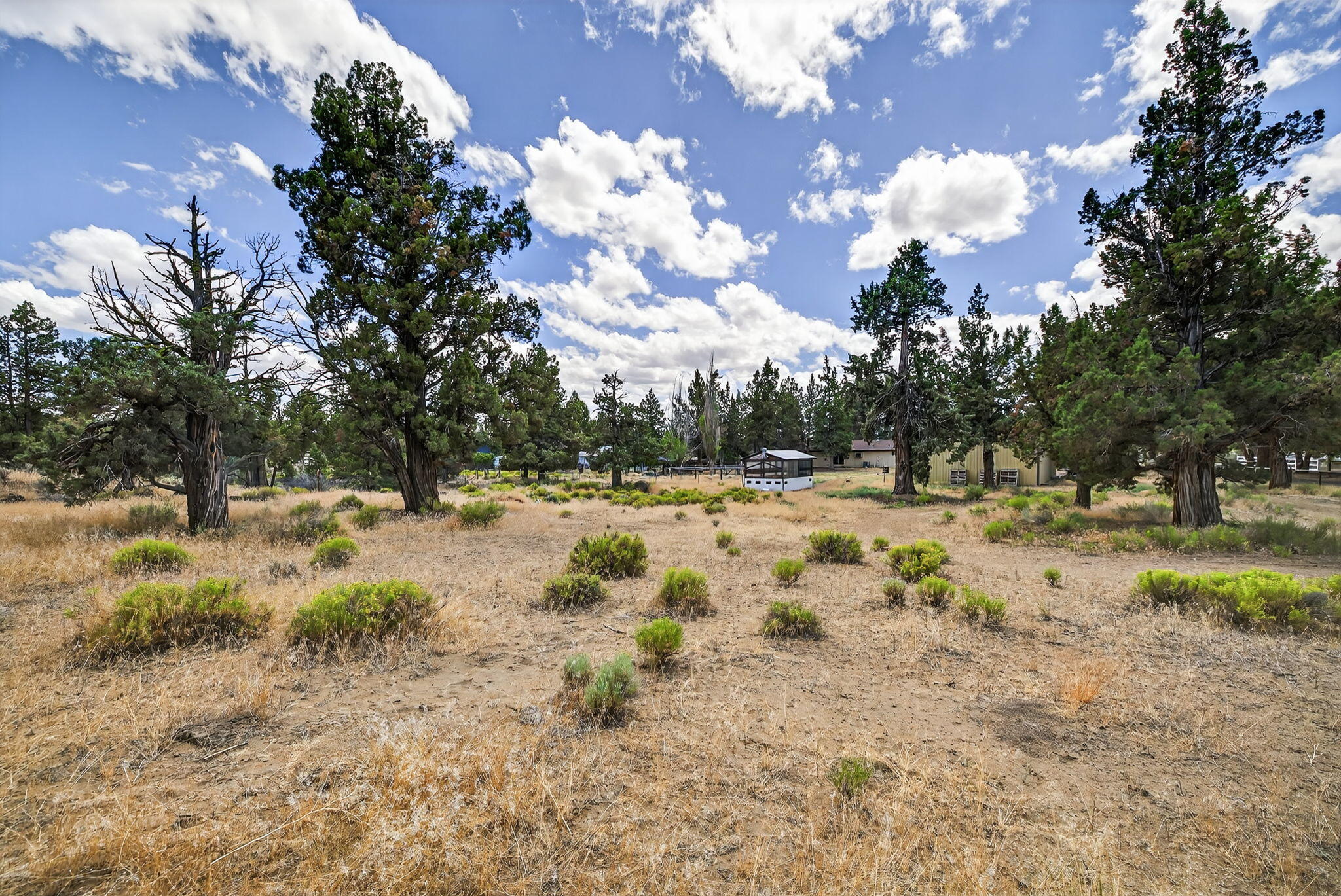 Cimarron City - Residential