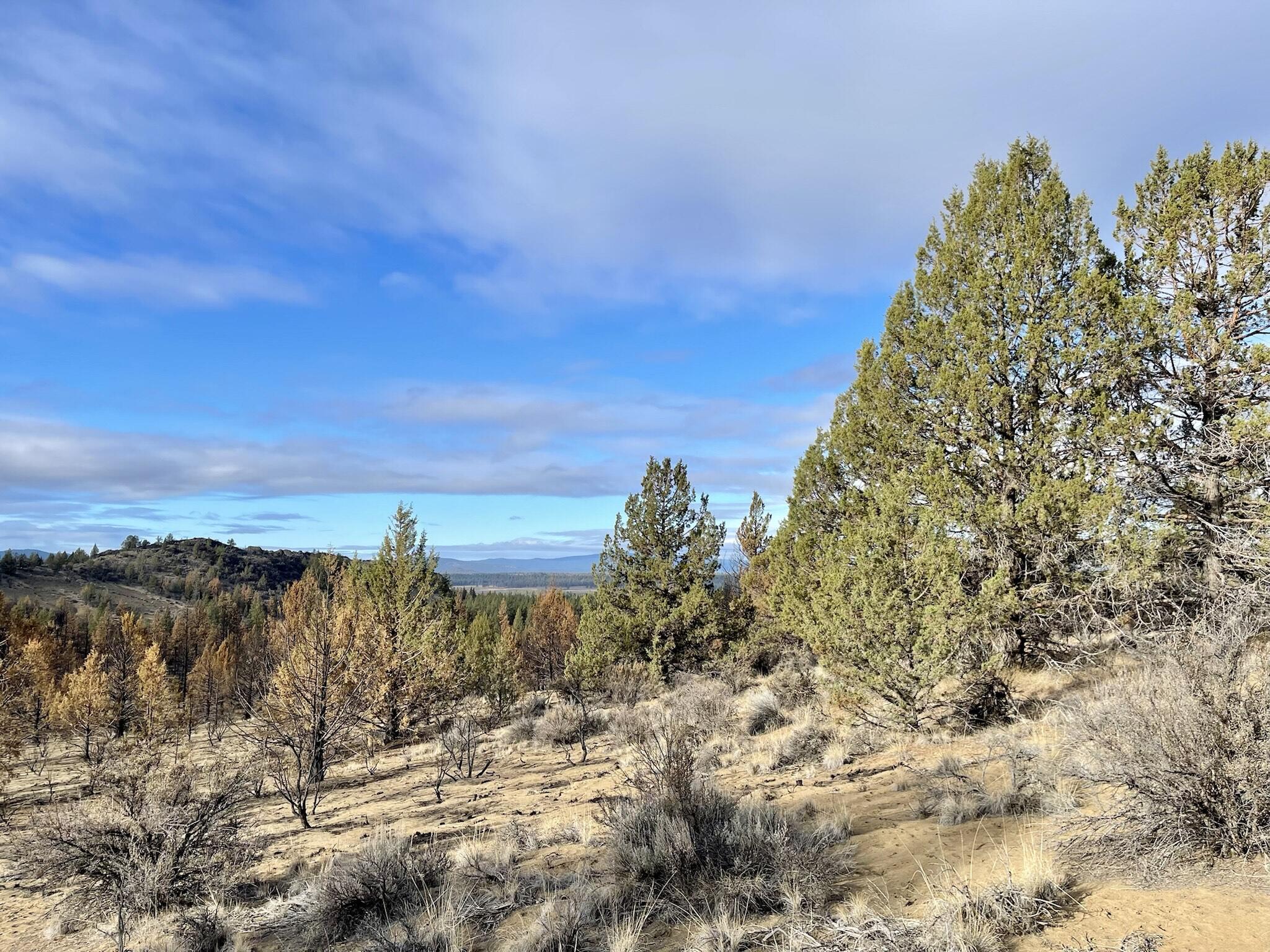 Tract 1110 - Land