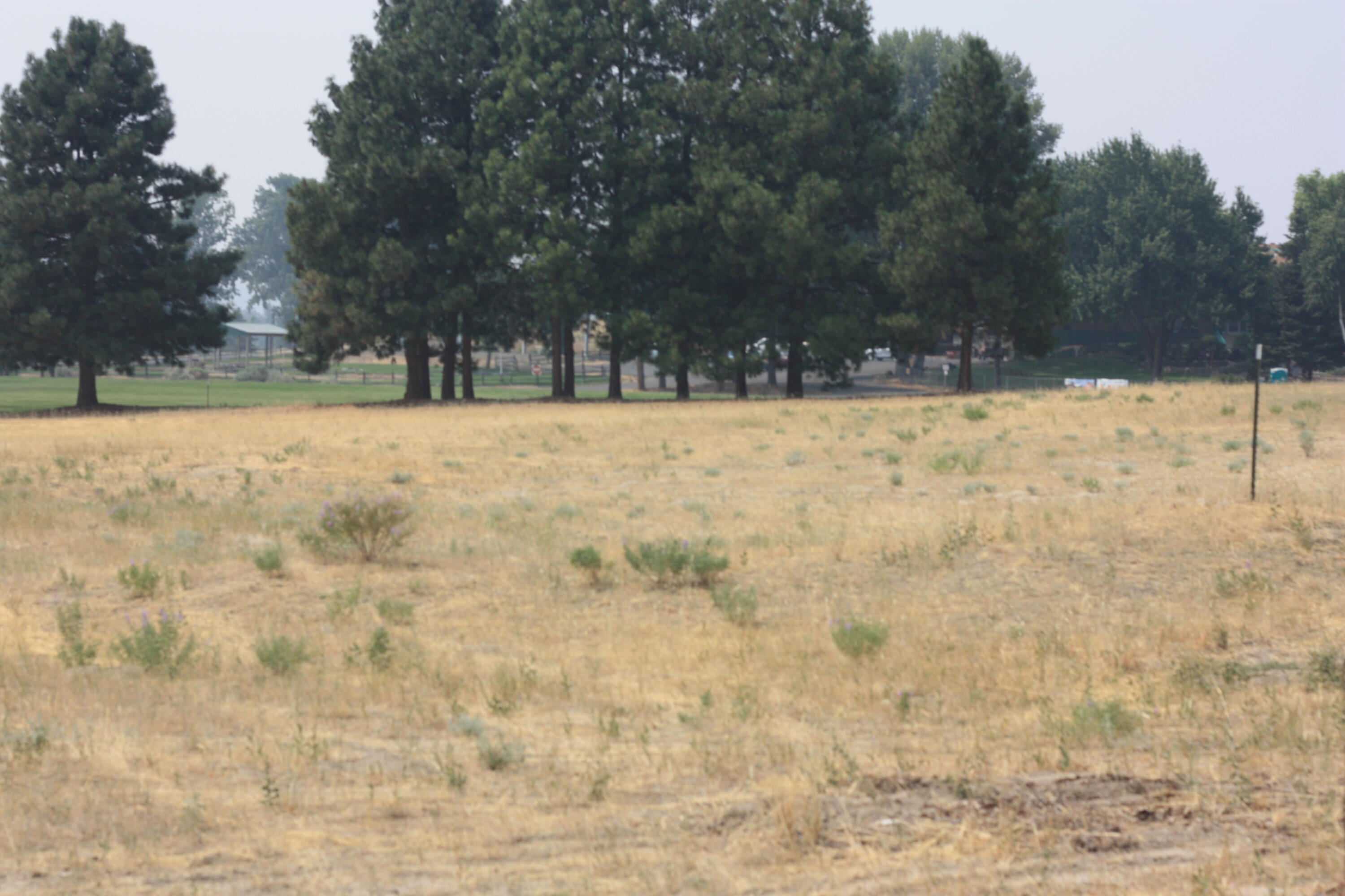 Enterprise Tracts - Commercial Sale