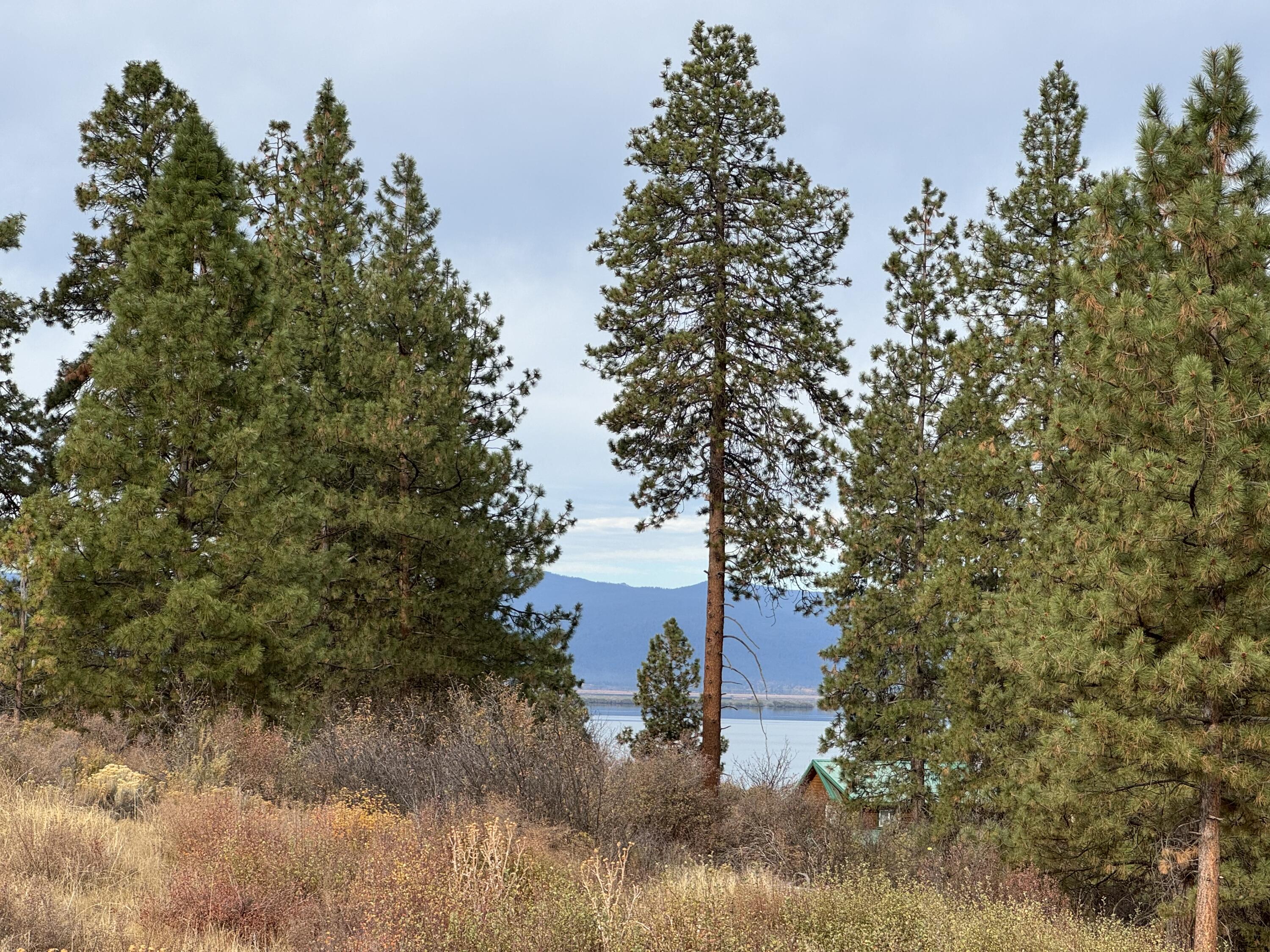 This scenic .41-acre lot offers a serene view of Agency Lake with a mix of level and sloped terrain, ideal for building.  Located in a well-maintained neighborhood of custom homes, this property includes membership benefits: year-round road maintenance, winter plowing, and water access from on-site wells for a $200 annual fee.   Enjoy private access to a nearby 17-acre park with camping and picnic areas, and relish the stunning lake, Cascade Mountain range and forest views in a peaceful and safe setting.