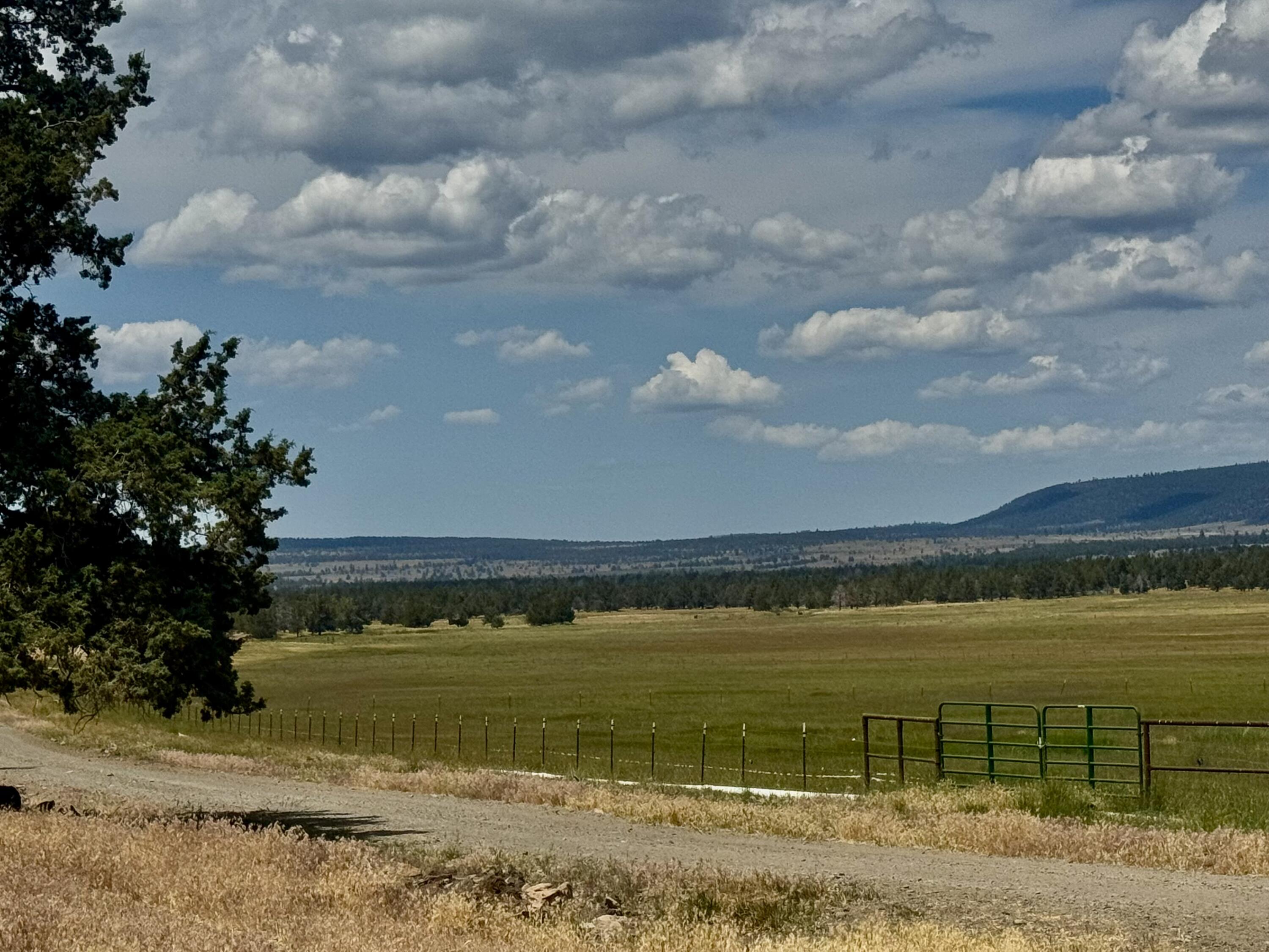 Bonanza - Farm