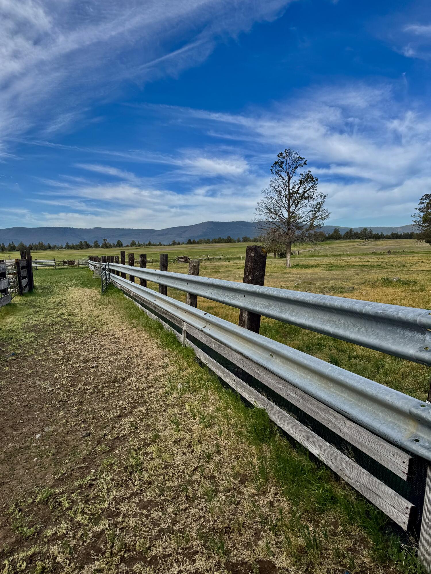 Bonanza - Farm