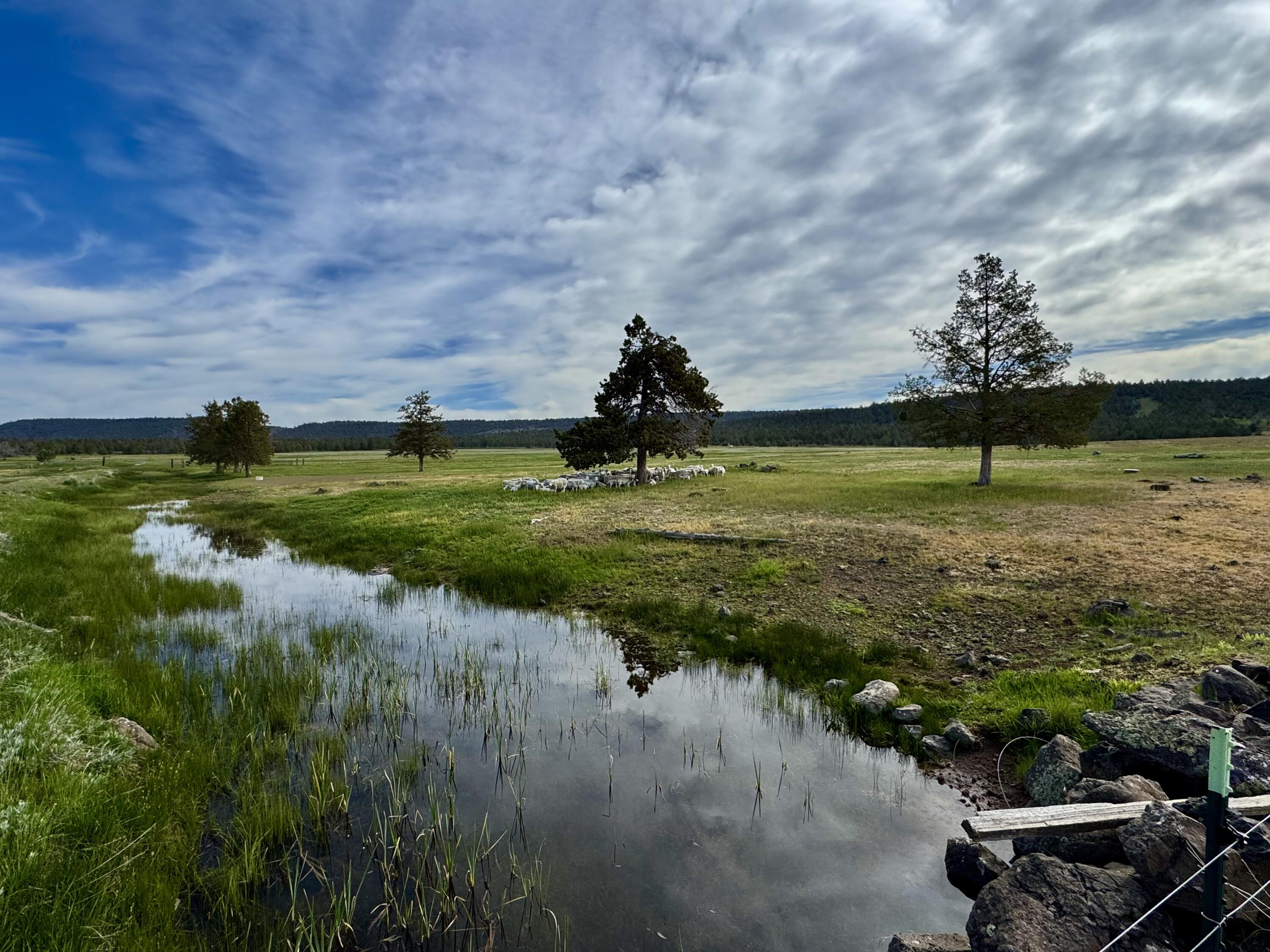 Bonanza - Farm