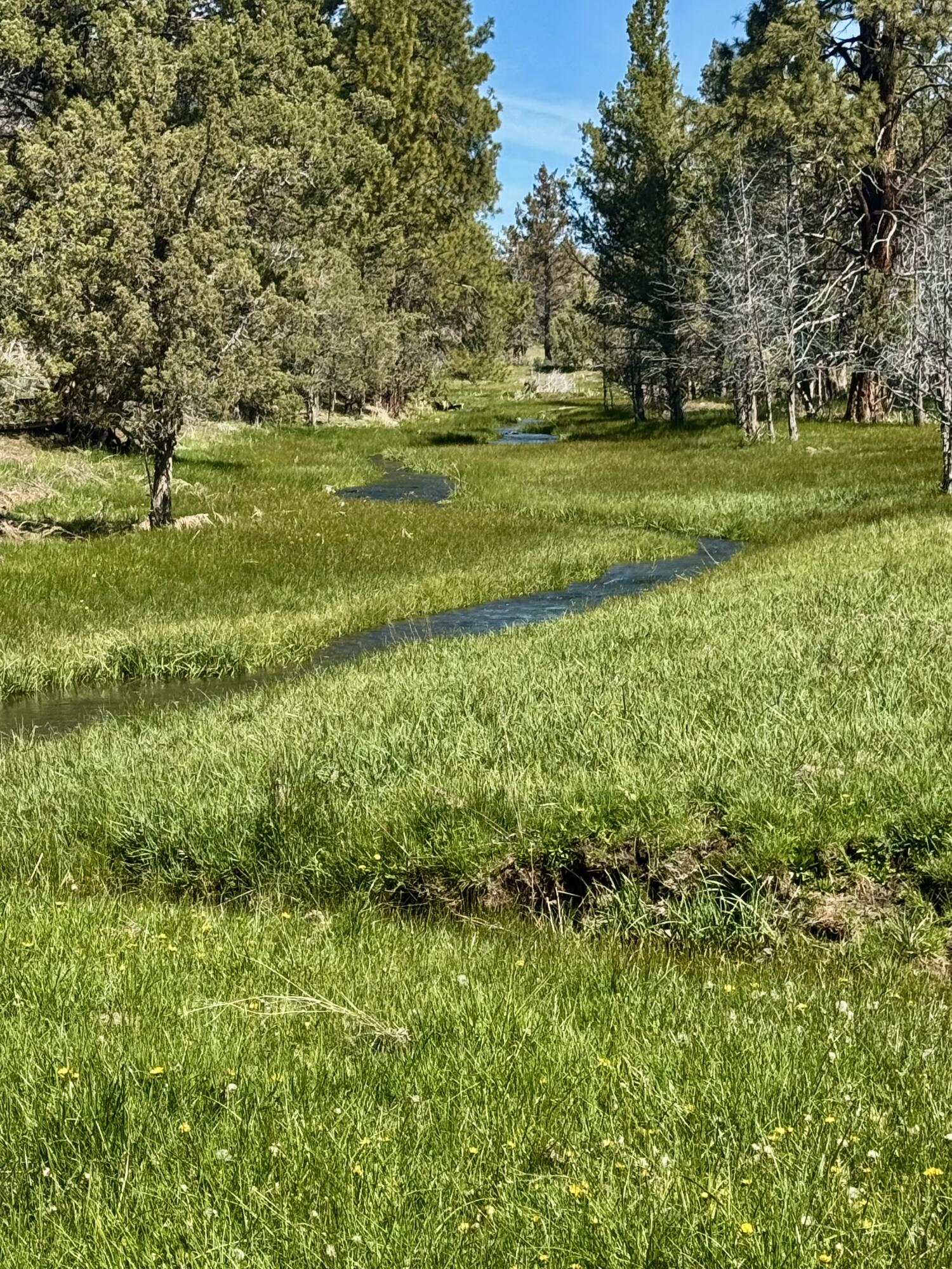 Bonanza - Farm
