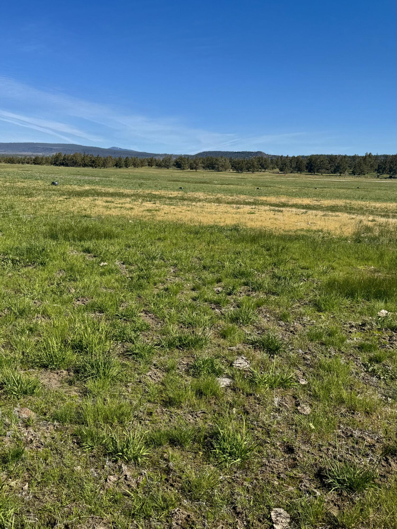 Bonanza - Farm